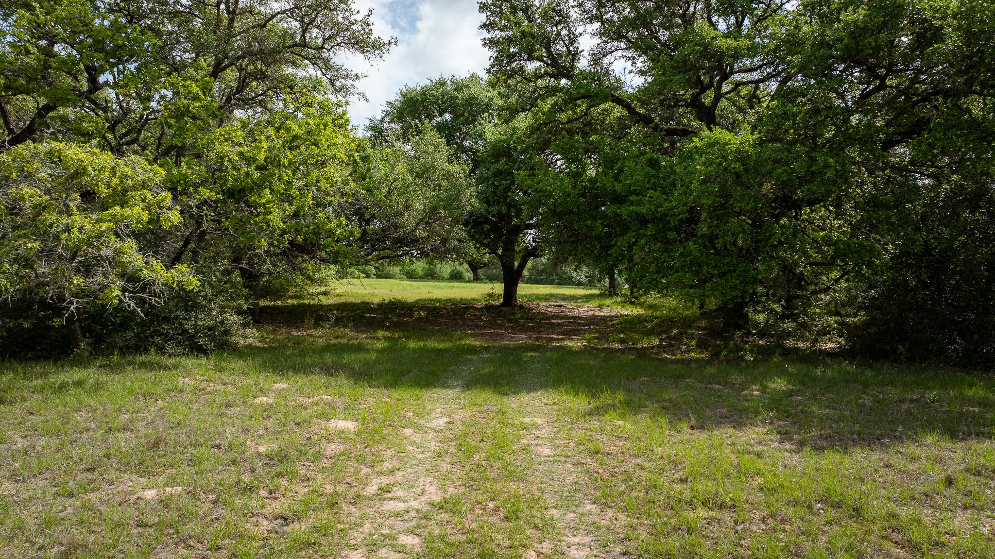 3814 CR 19, Hallettsville, TX 77964