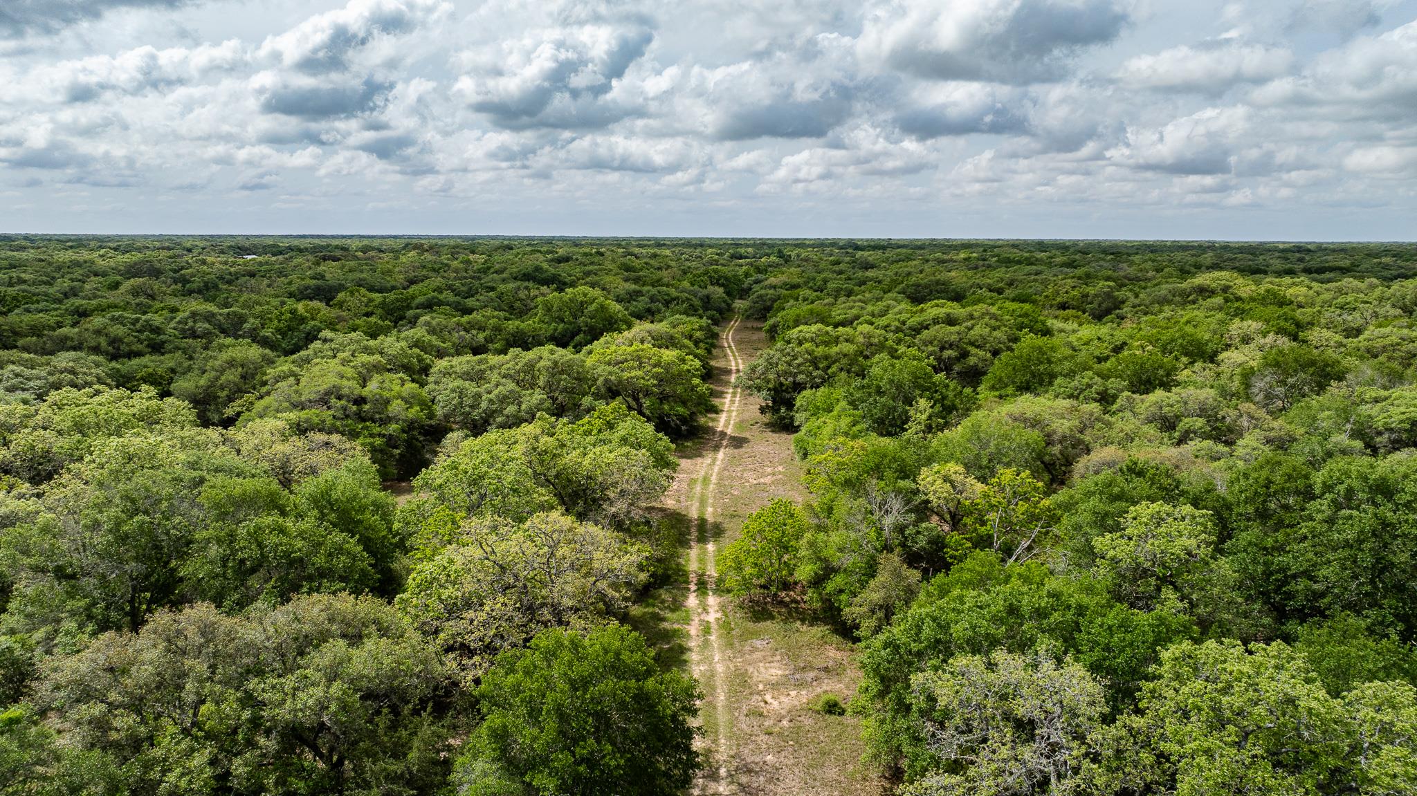 3814 CR 19, Hallettsville, TX 77964