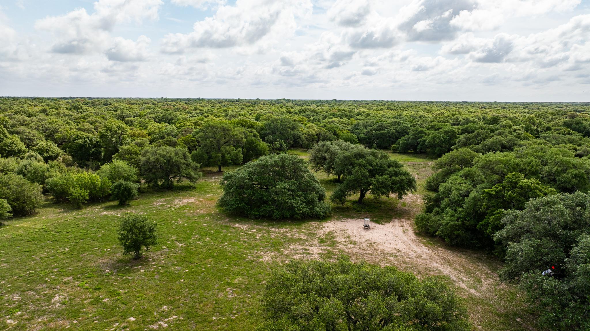 3814 CR 19, Hallettsville, TX 77964
