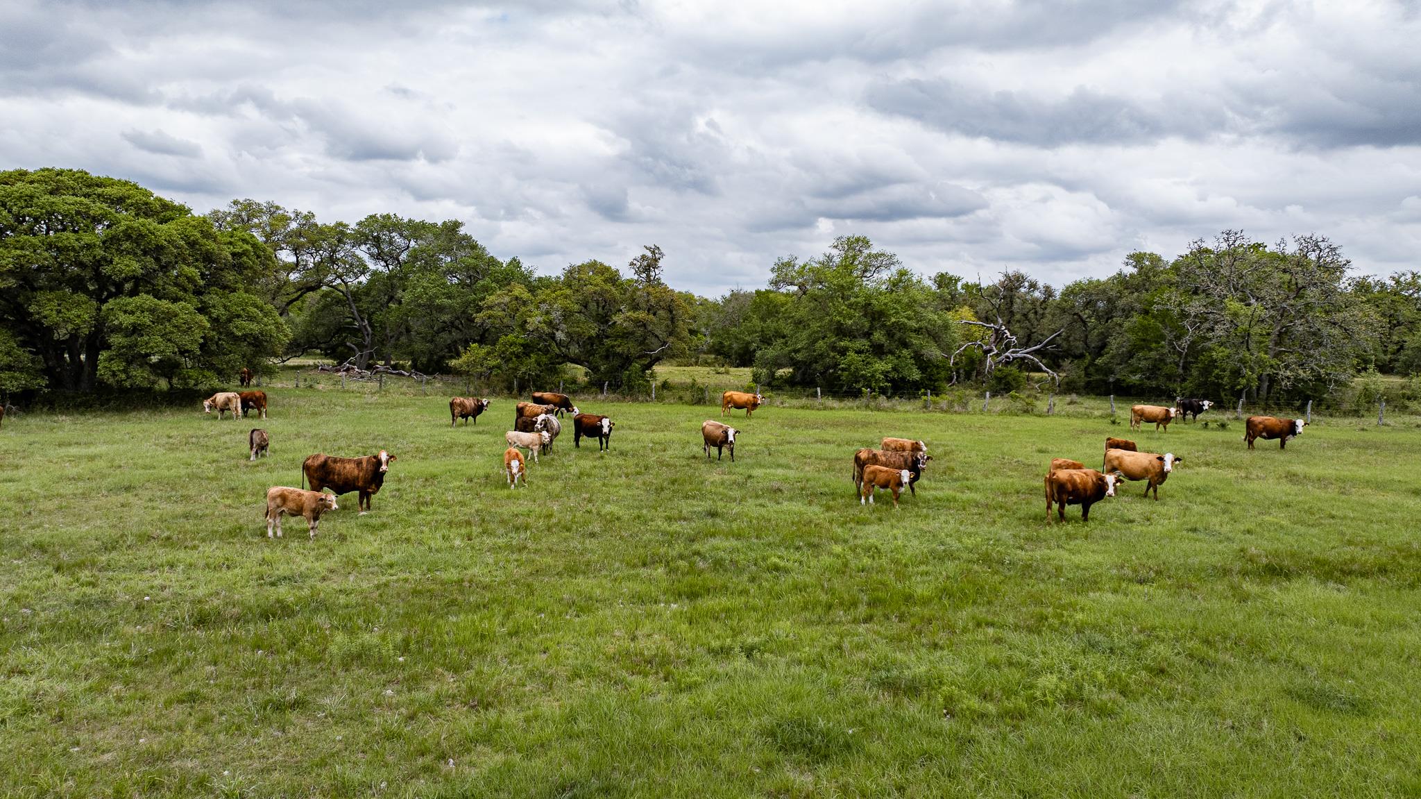 3814 CR 19, Hallettsville, TX 77964