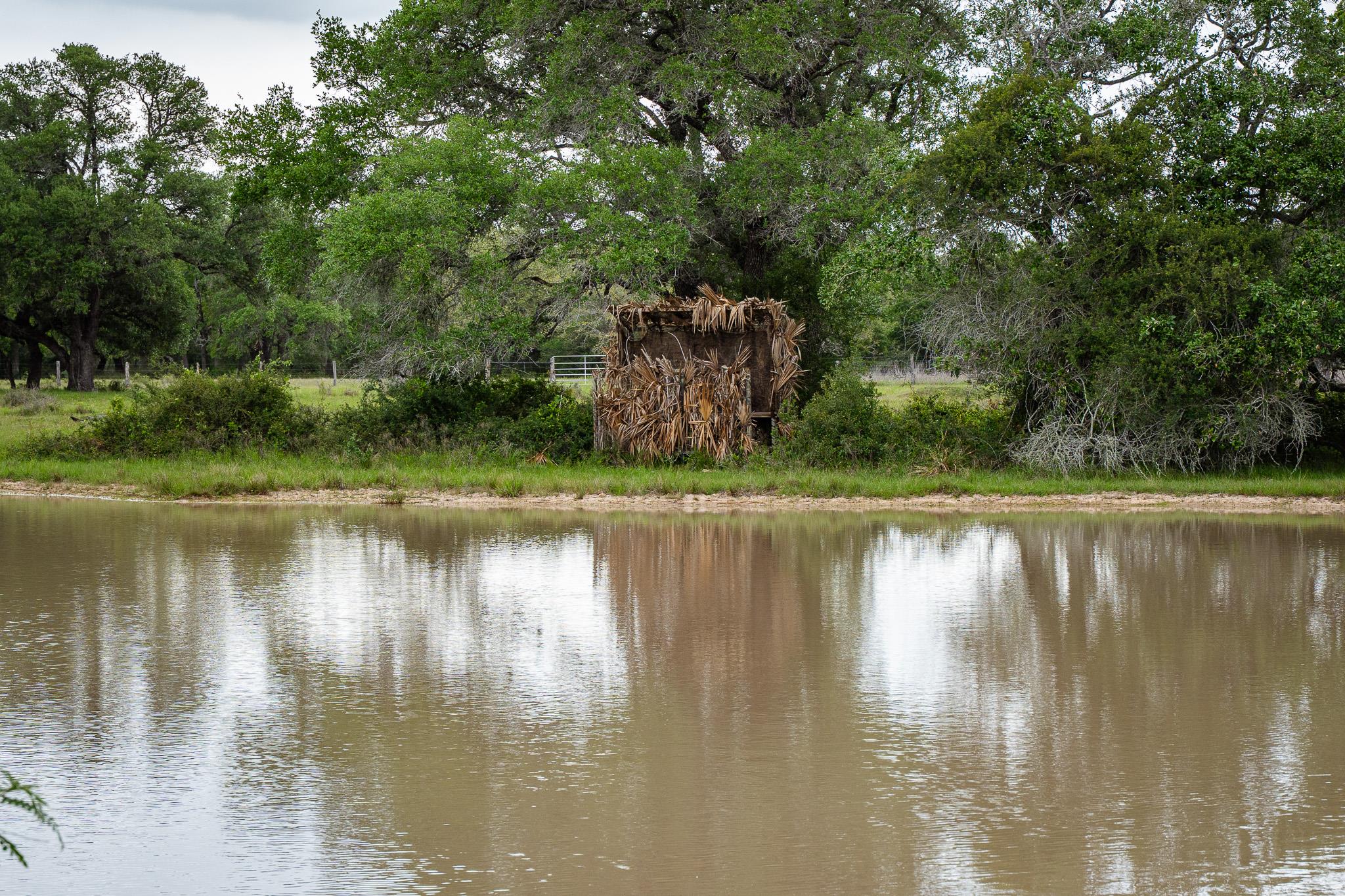 3814 CR 19, Hallettsville, TX 77964