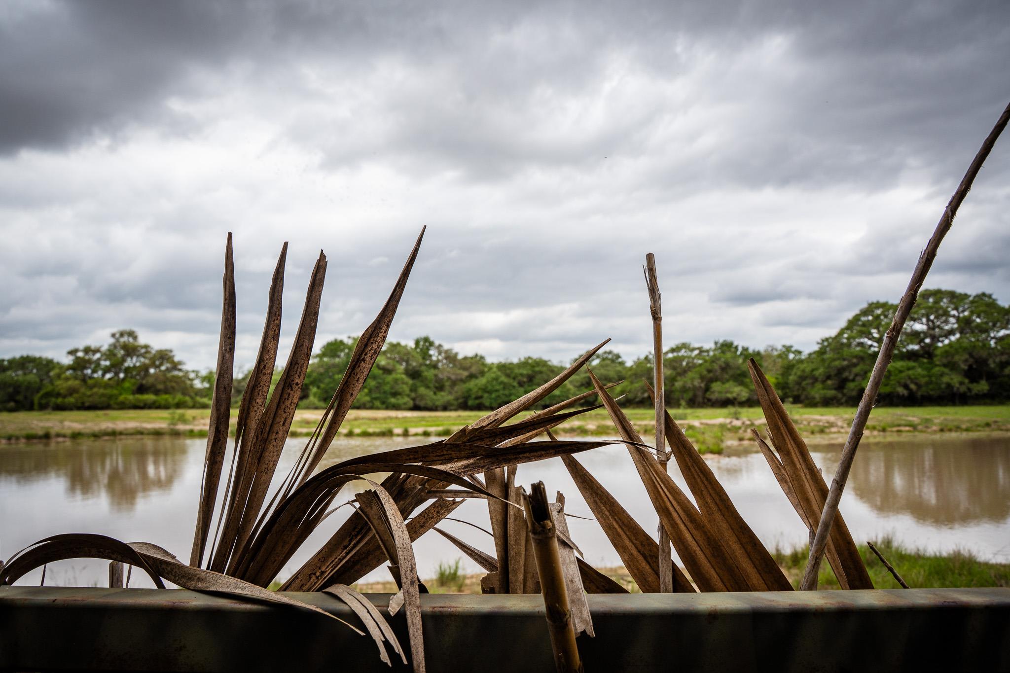 3814 CR 19, Hallettsville, TX 77964