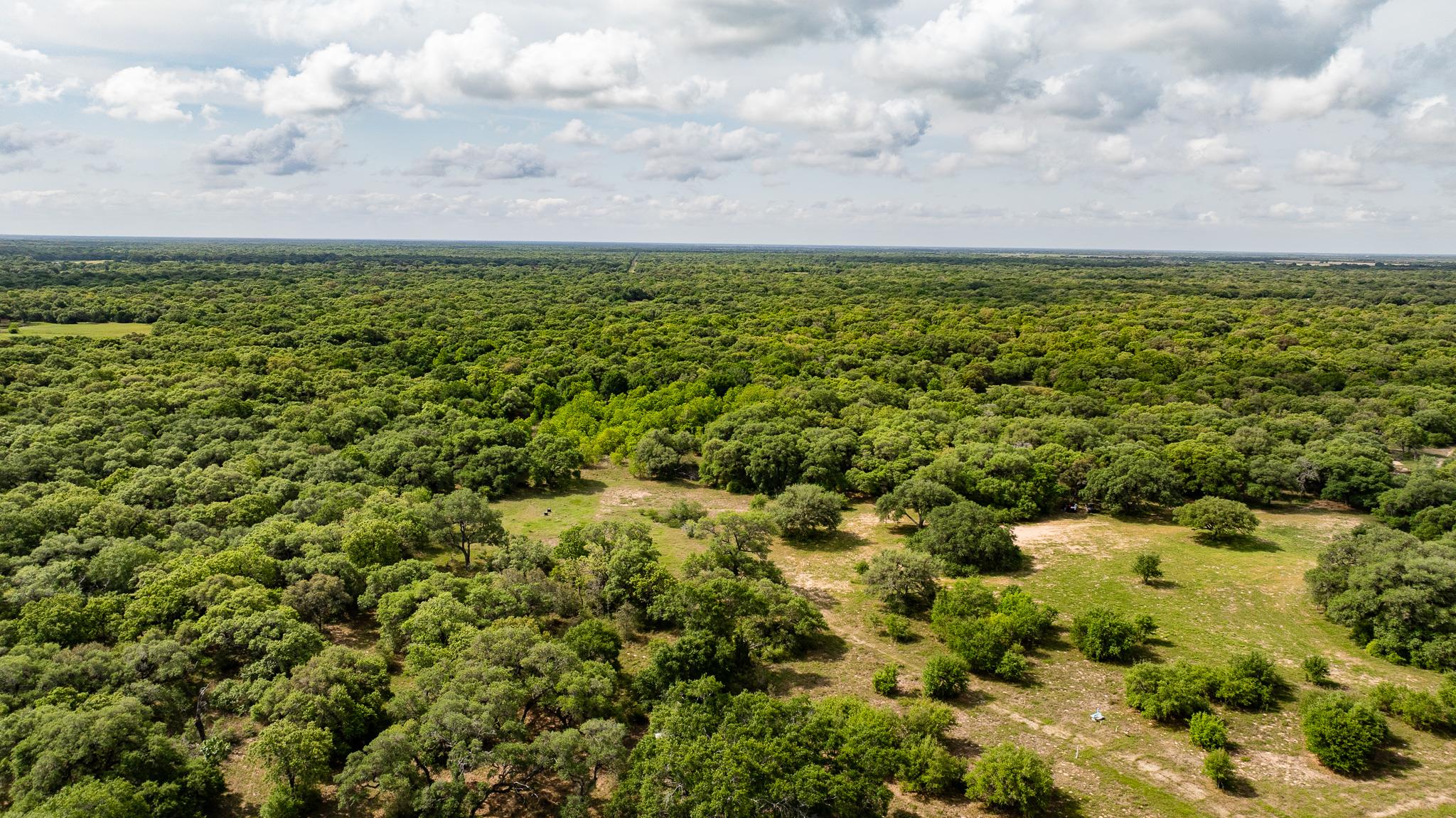 3814 CR 19, Hallettsville, TX 77964