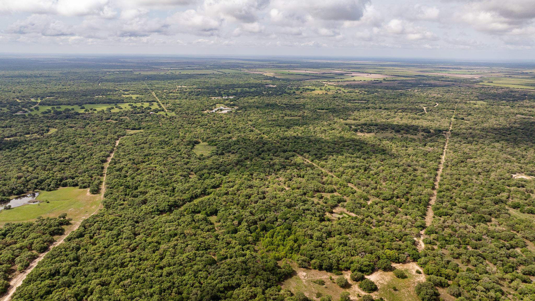 3814 CR 19, Hallettsville, TX 77964