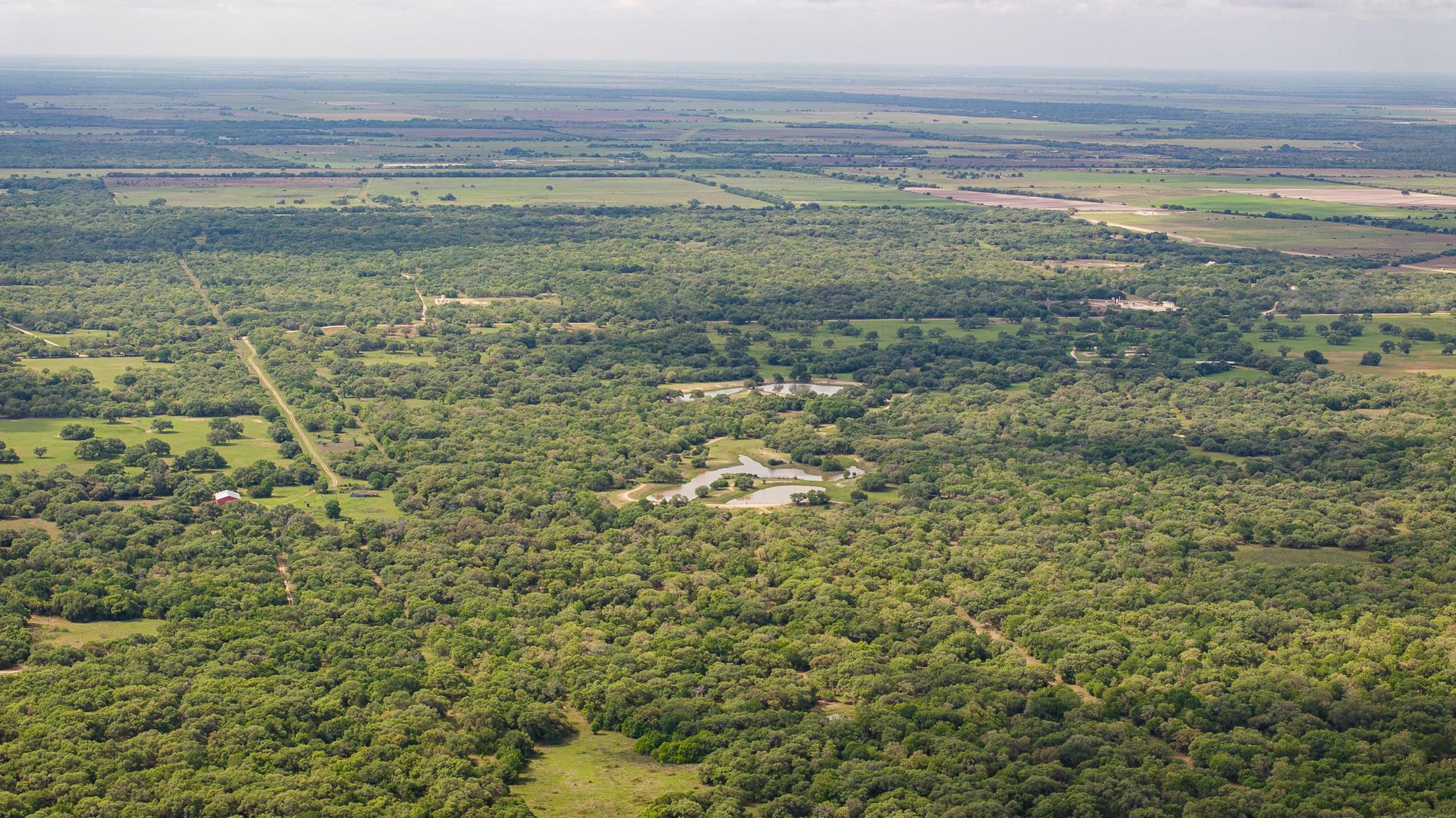 3814 CR 19, Hallettsville, TX 77964