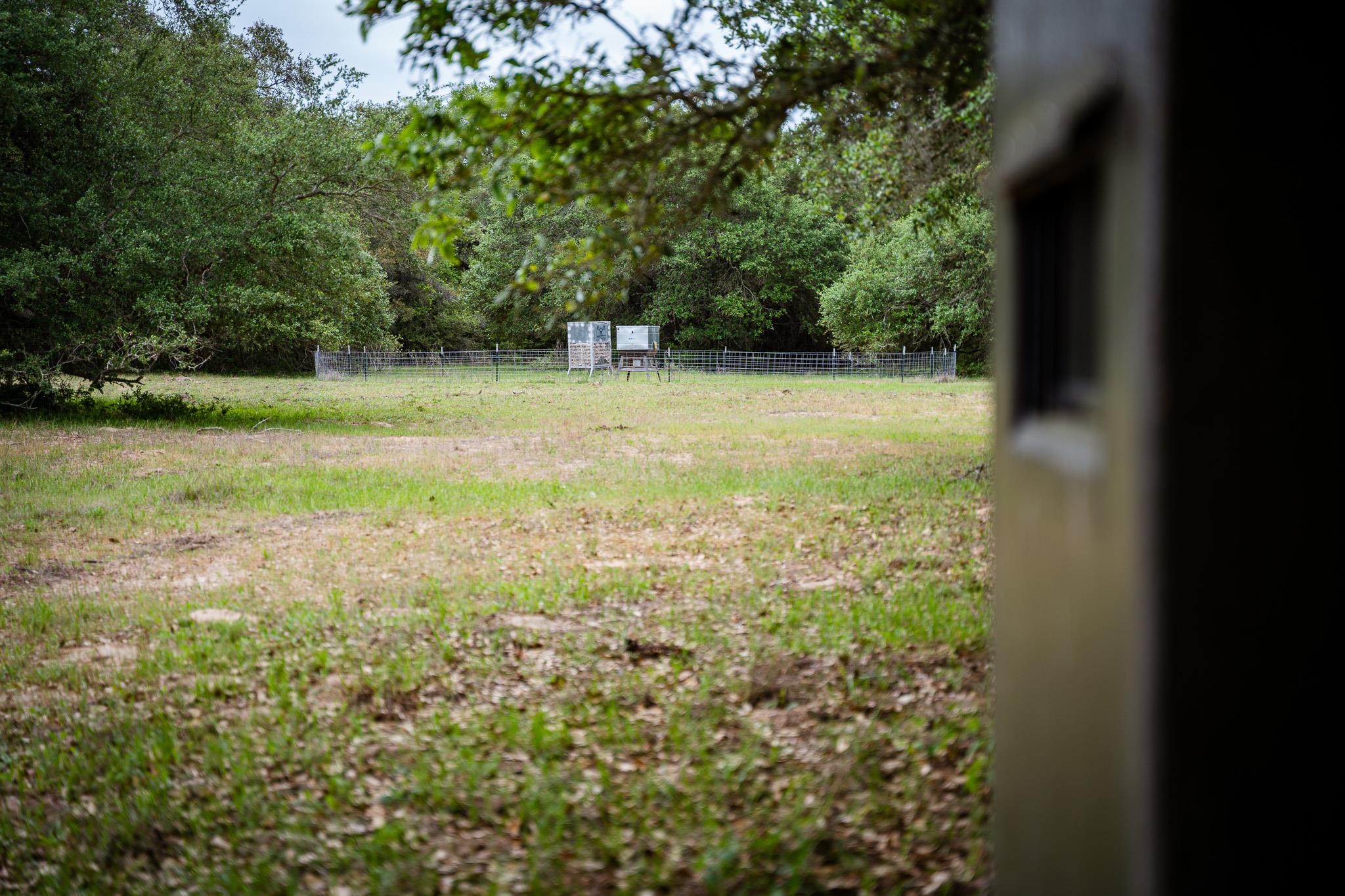 3814 CR 19, Hallettsville, TX 77964