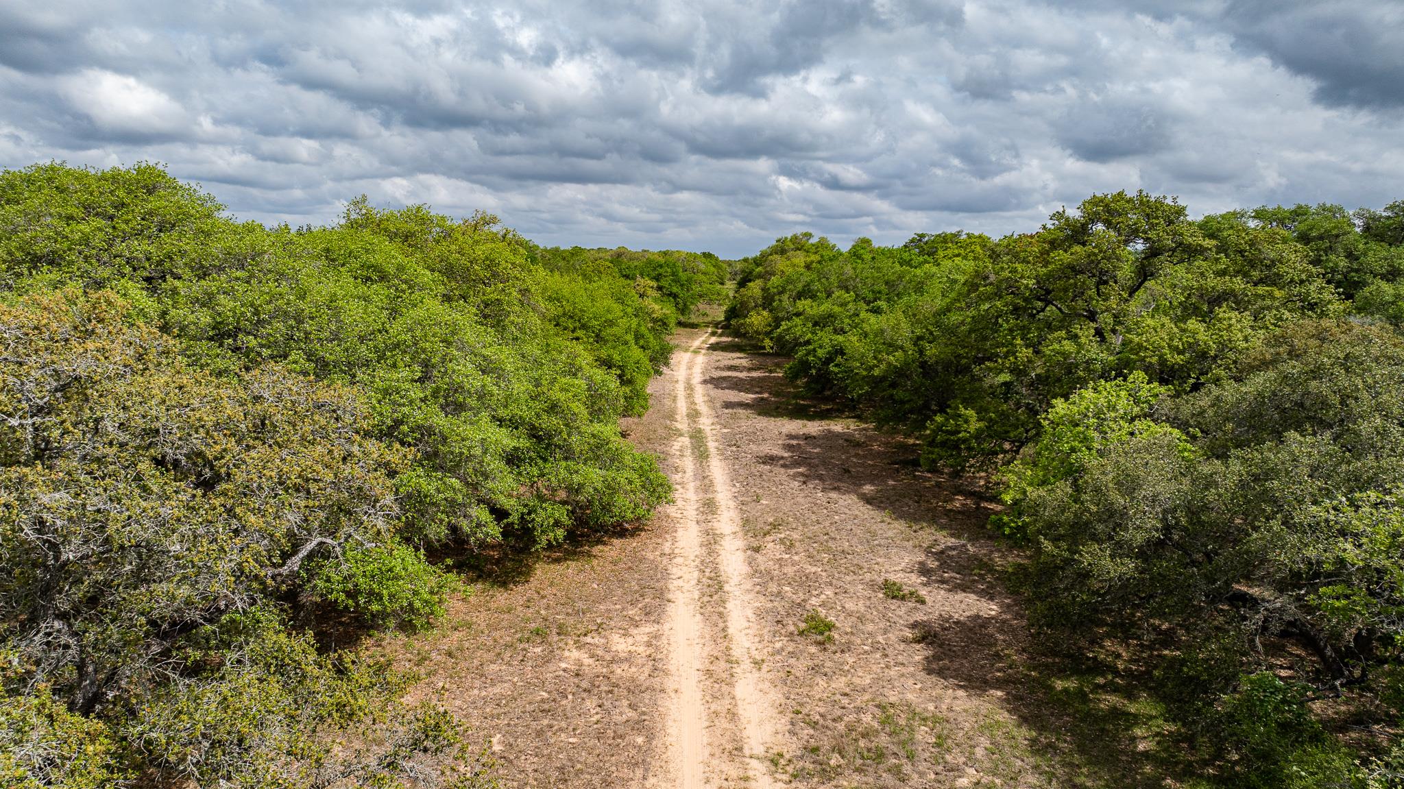 3814 CR 19, Hallettsville, TX 77964