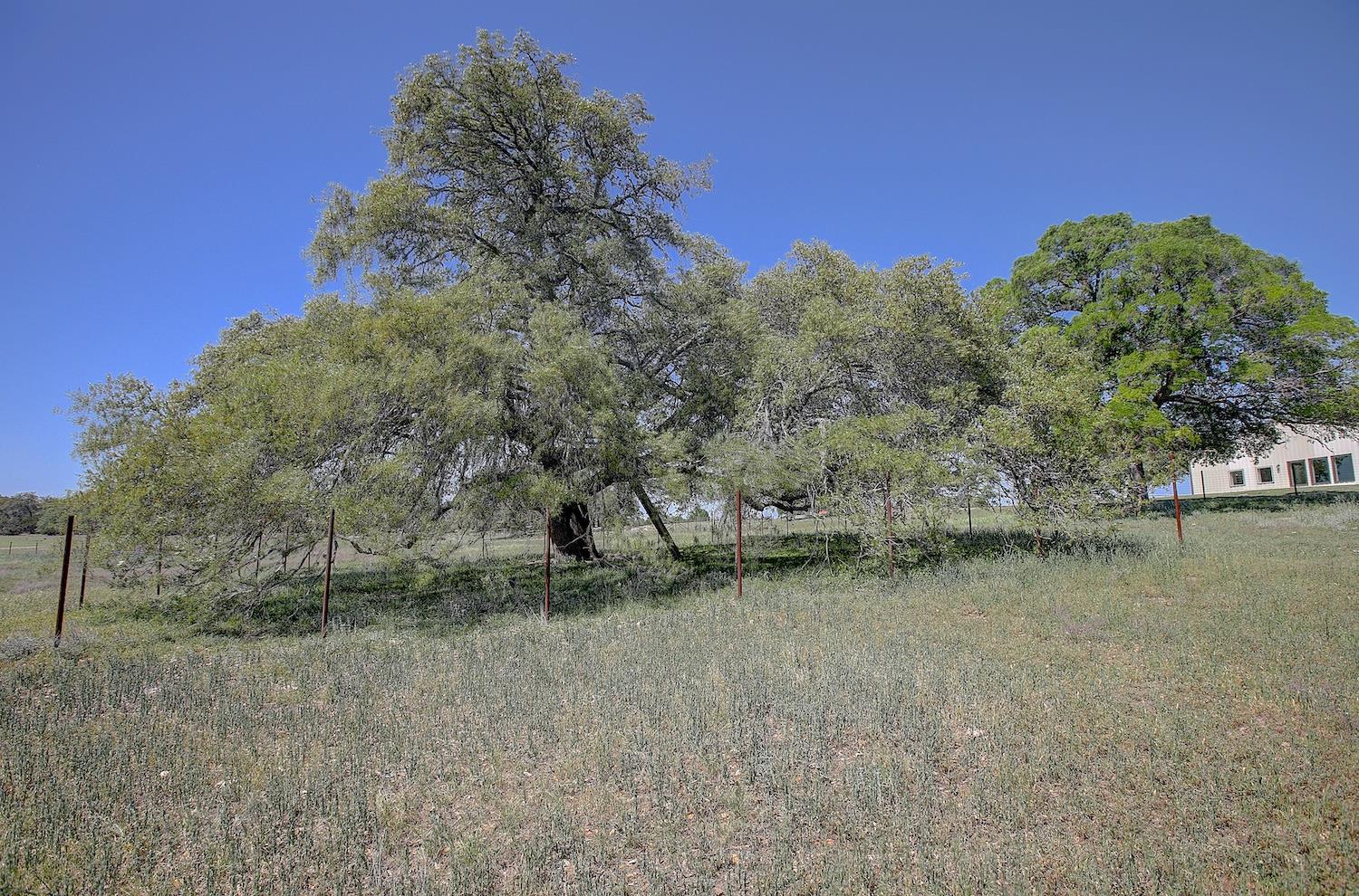 5901 RR 1869, Liberty Hill, TX 78642