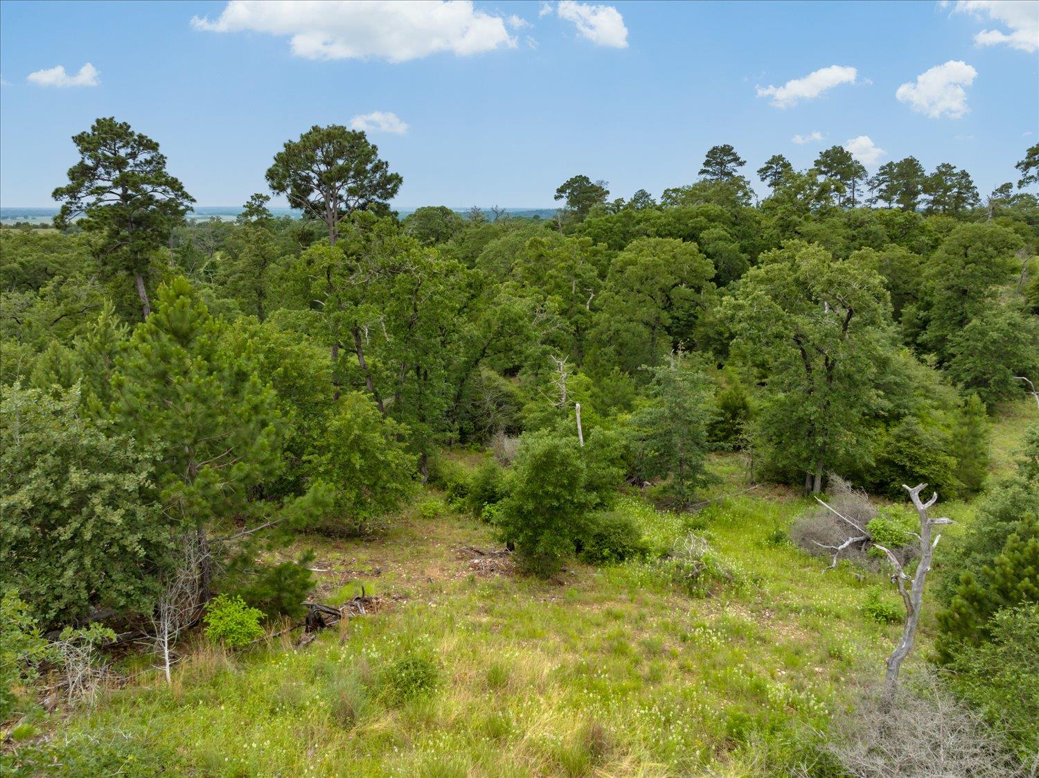 000 McAllister Rd, Bastrop, TX 78602