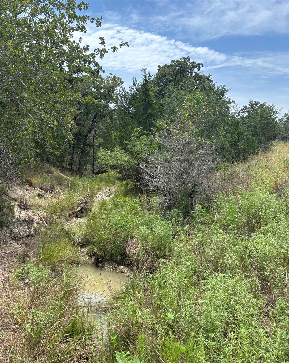 2250 Old Lockhart Rd, Plum, TX 78952