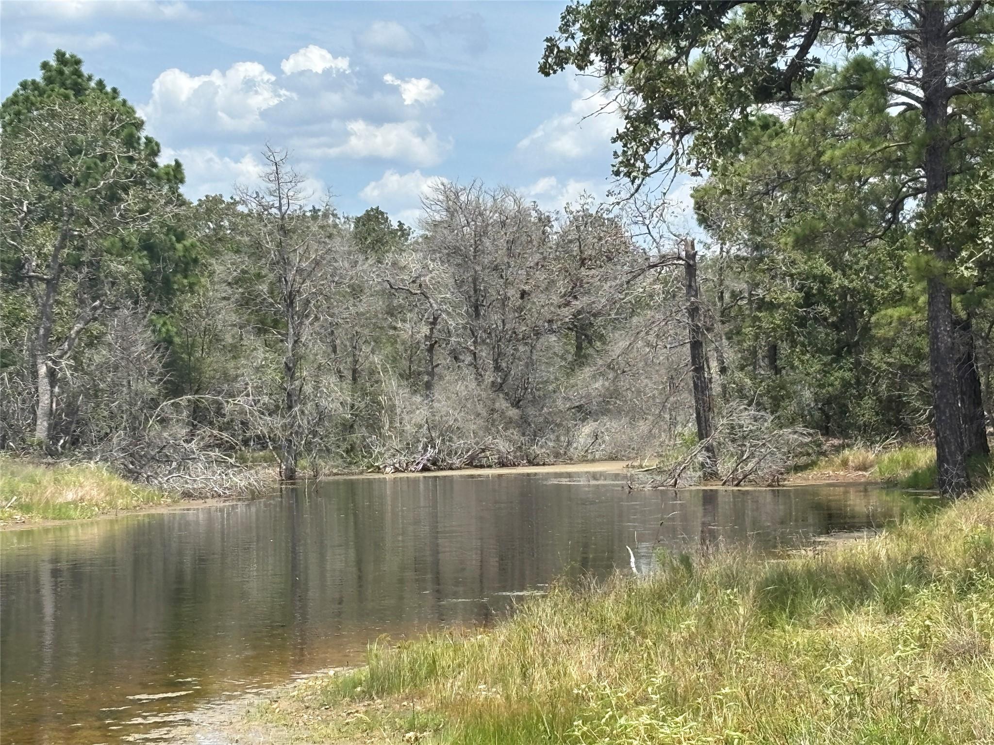 2250 Old Lockhart Rd, Plum, TX 78952