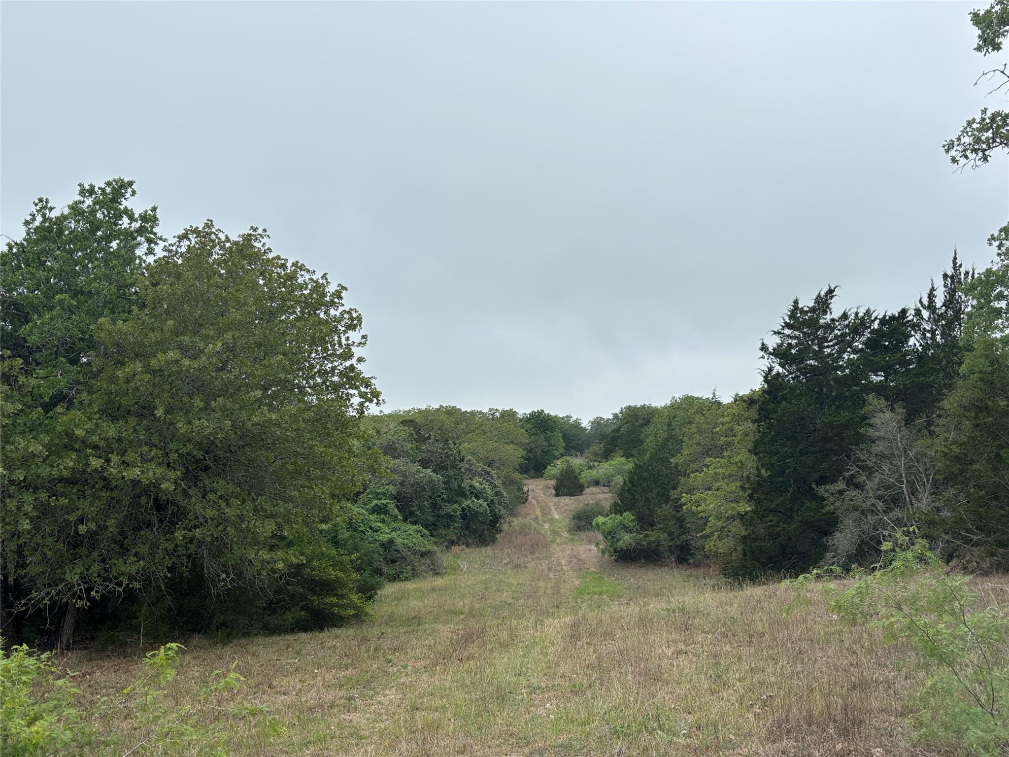 2250 Old Lockhart Rd, Plum, TX 78952