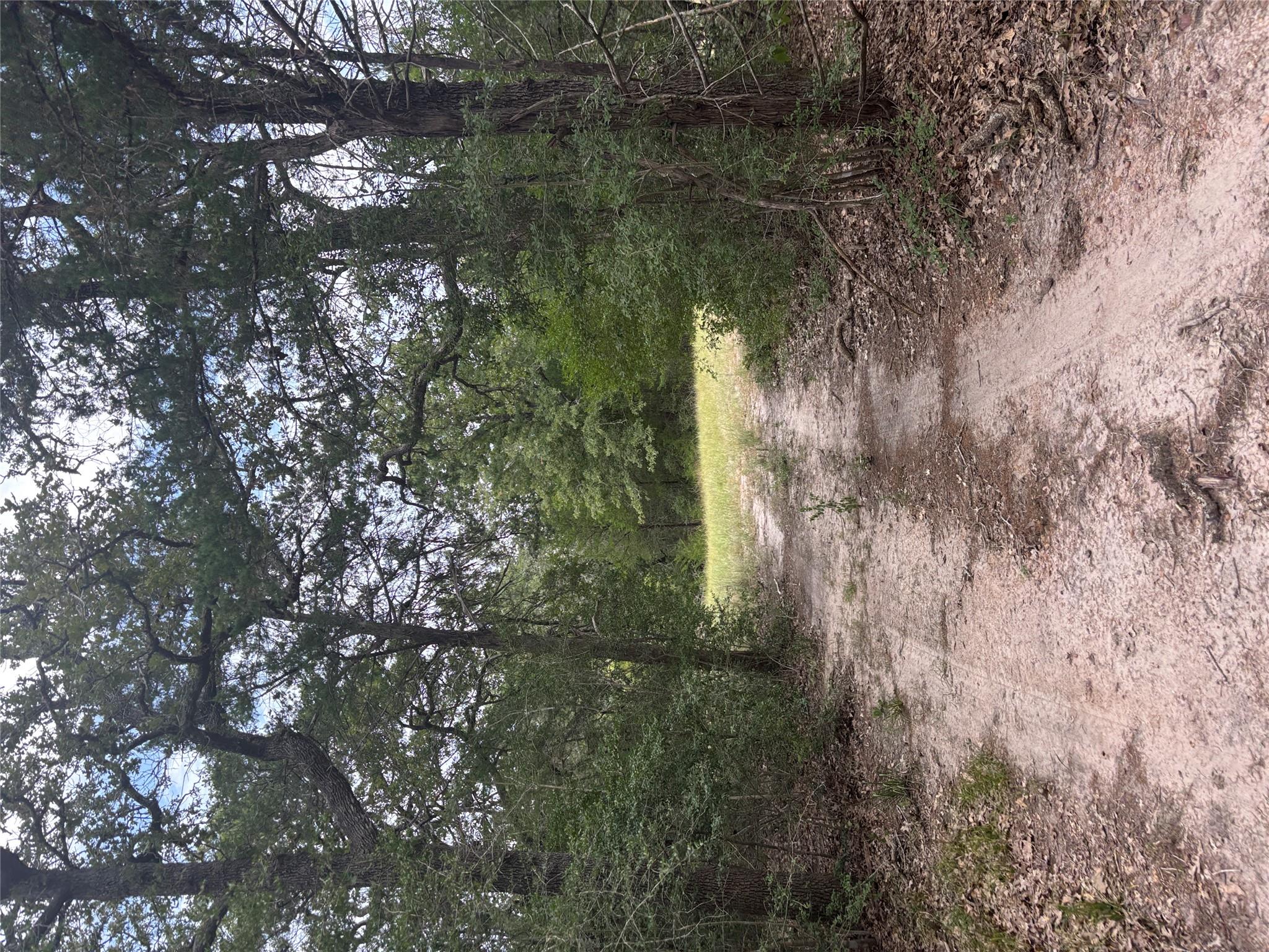 2250 Old Lockhart Rd, Plum, TX 78952