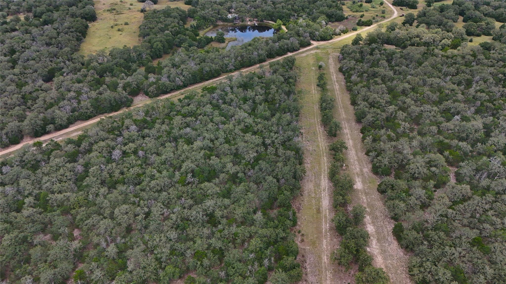 2250 Old Lockhart Rd, Plum, TX 78952