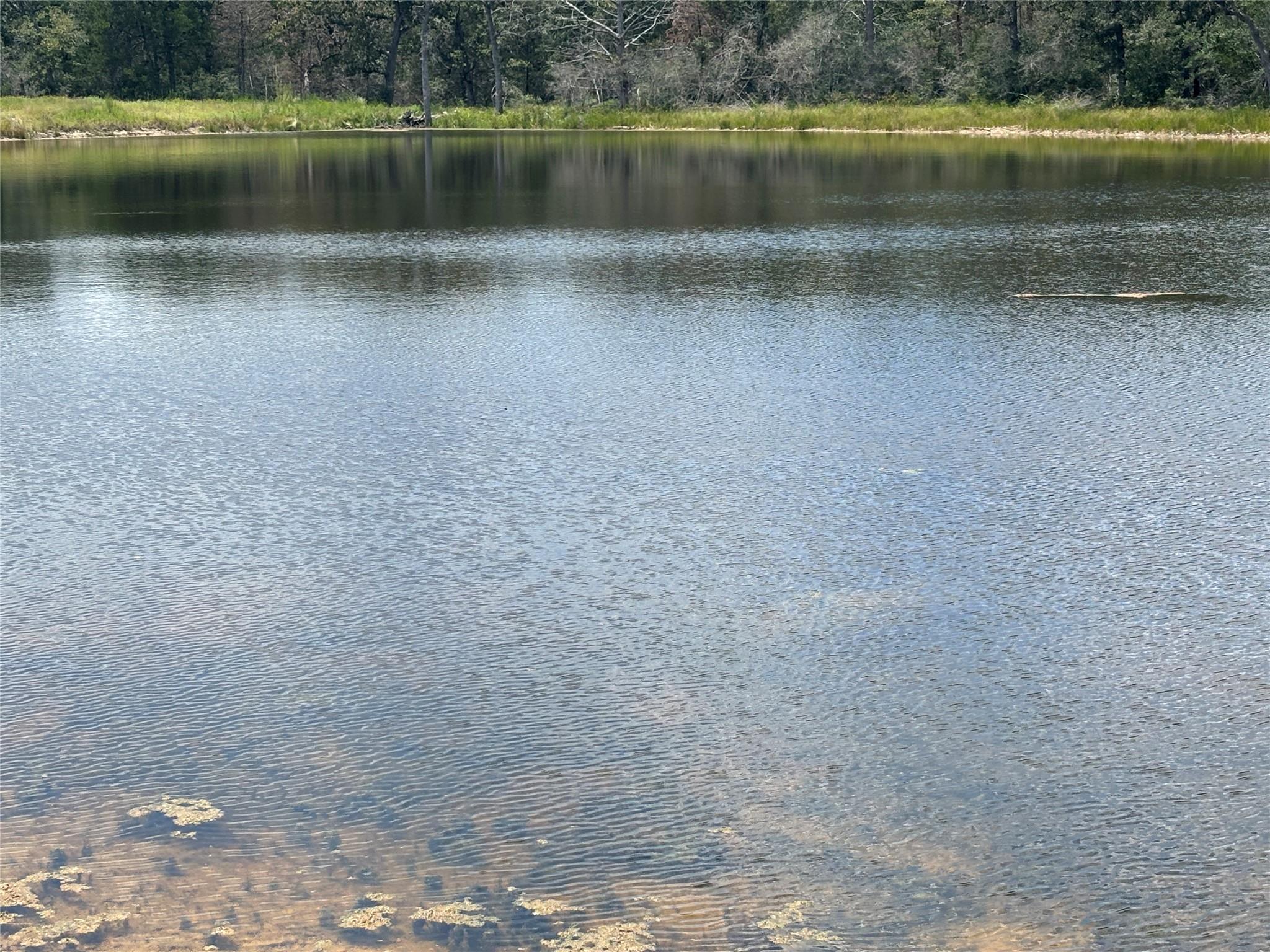 2250 Old Lockhart Rd, Plum, TX 78952