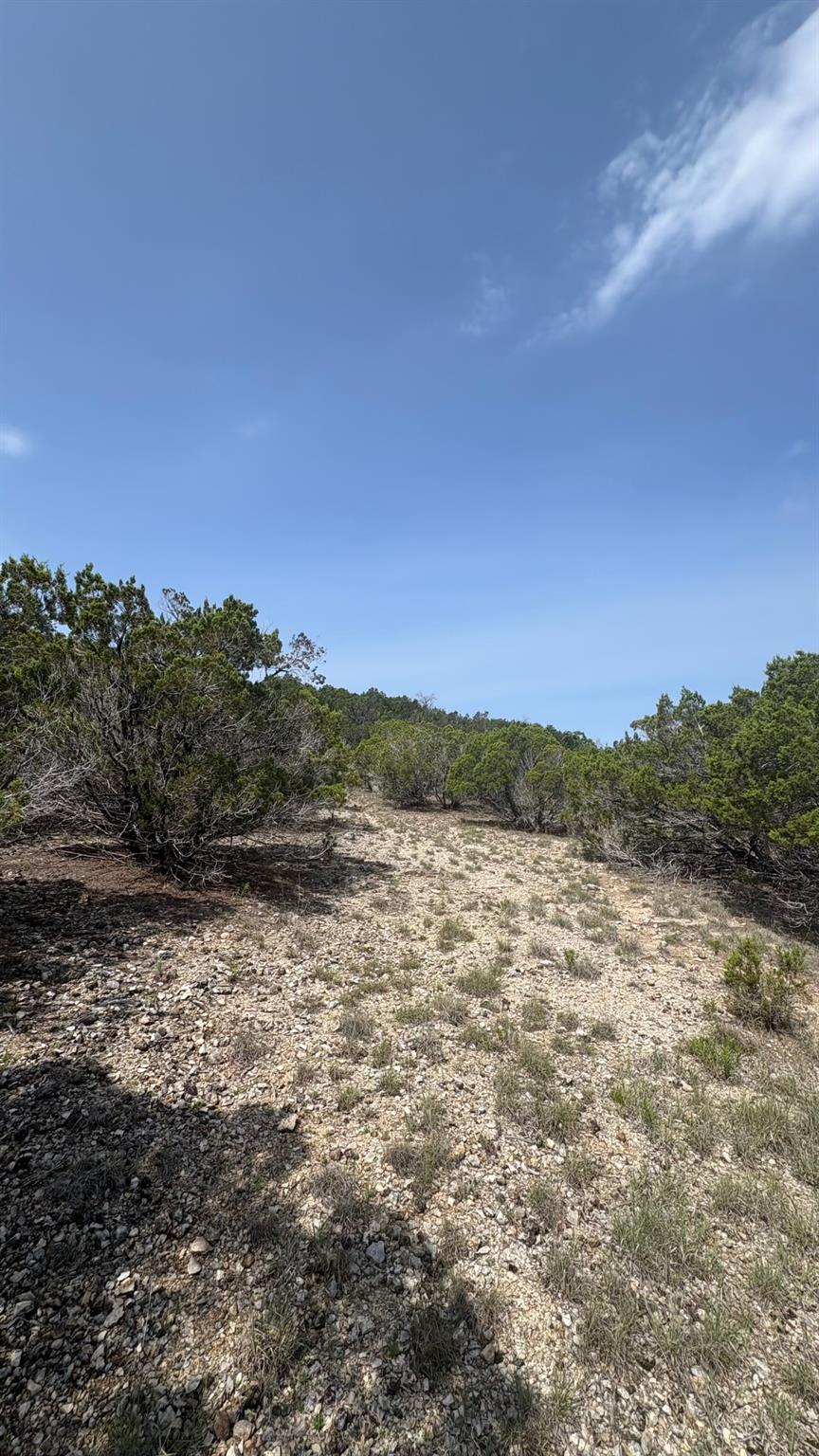 21200 Firefly Rd, Florence, TX 76527