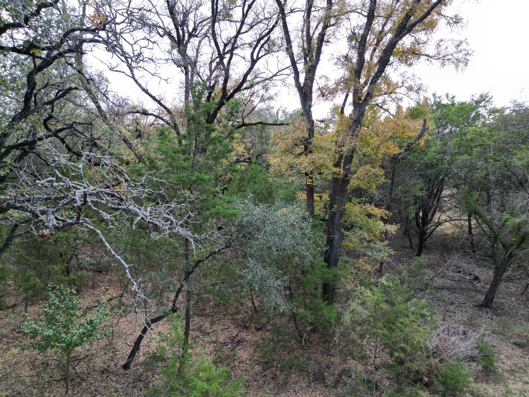 20940 Firefly Rd, Florence, TX 76527