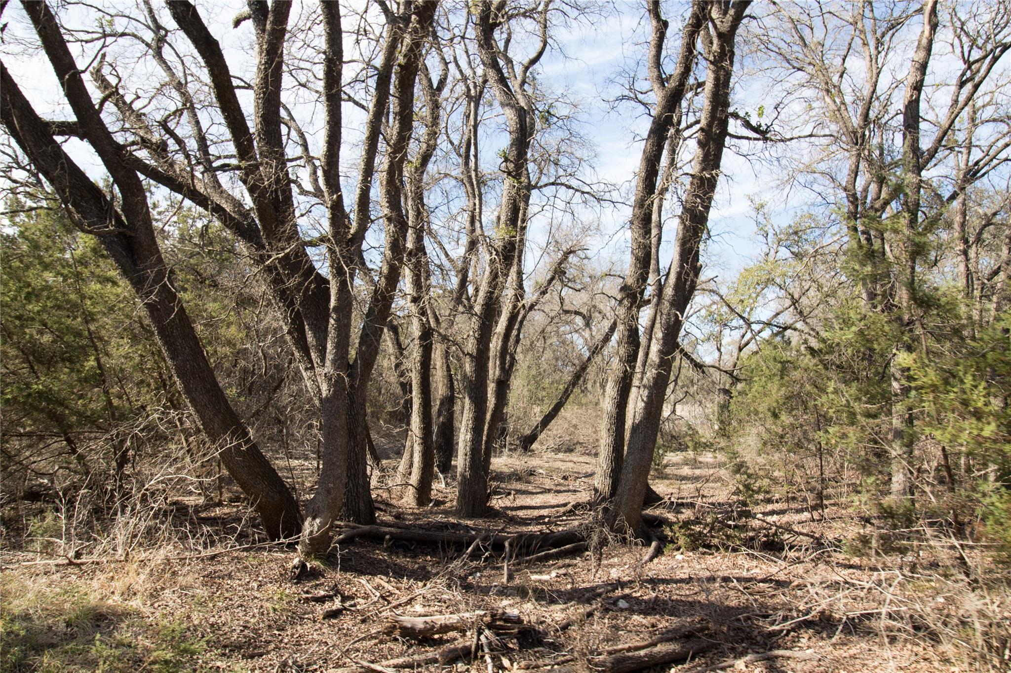 21200 Firefly Rd, Florence, TX 76527