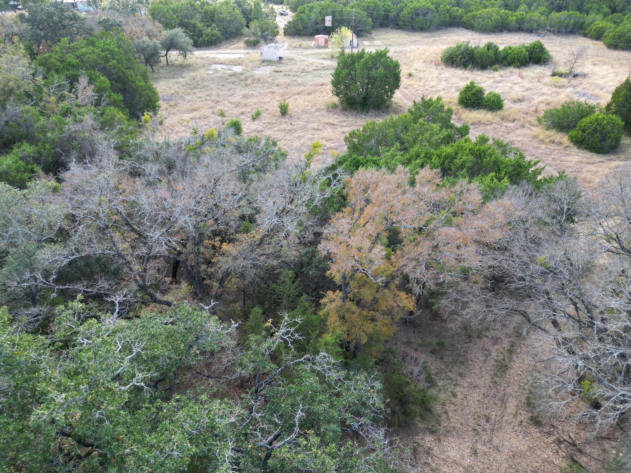 20940 Firefly Rd, Florence, TX 76527