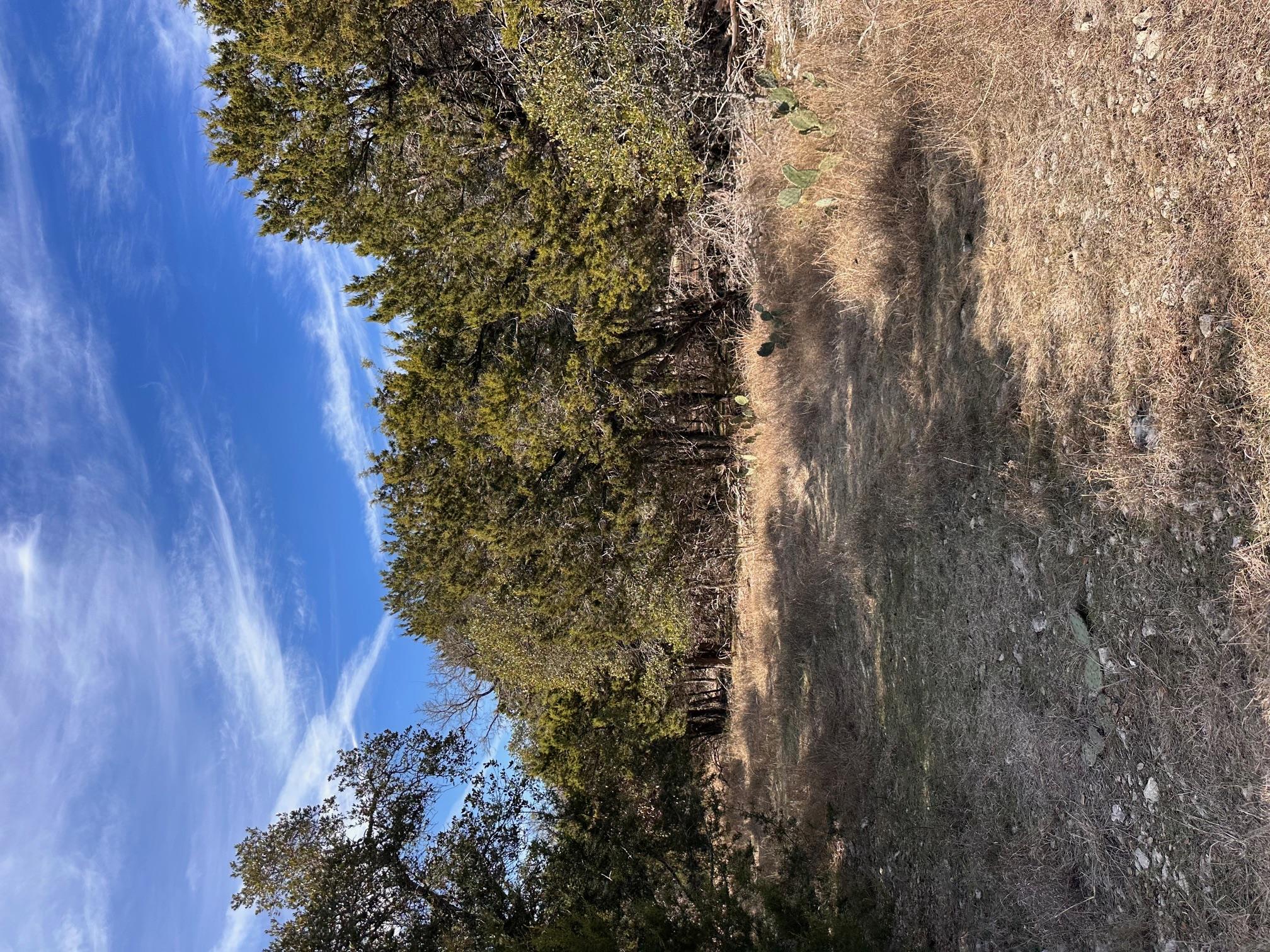 21200 Firefly Rd, Florence, TX 76527