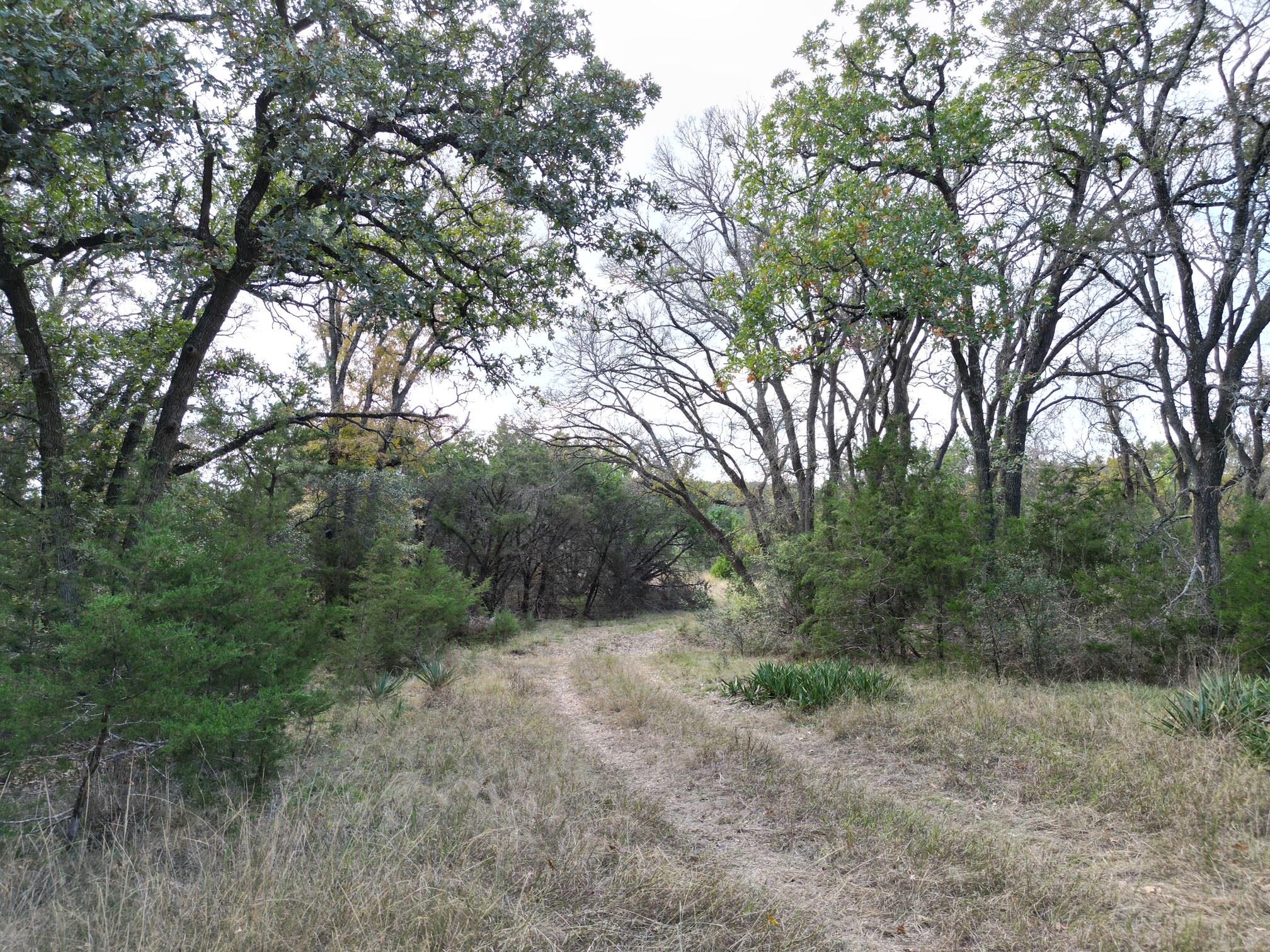 20940 Firefly Rd, Florence, TX 76527
