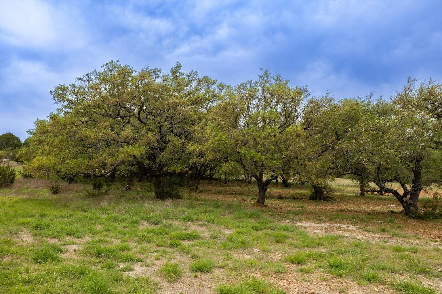 123 Private Road 3440, Kempner, TX 76539