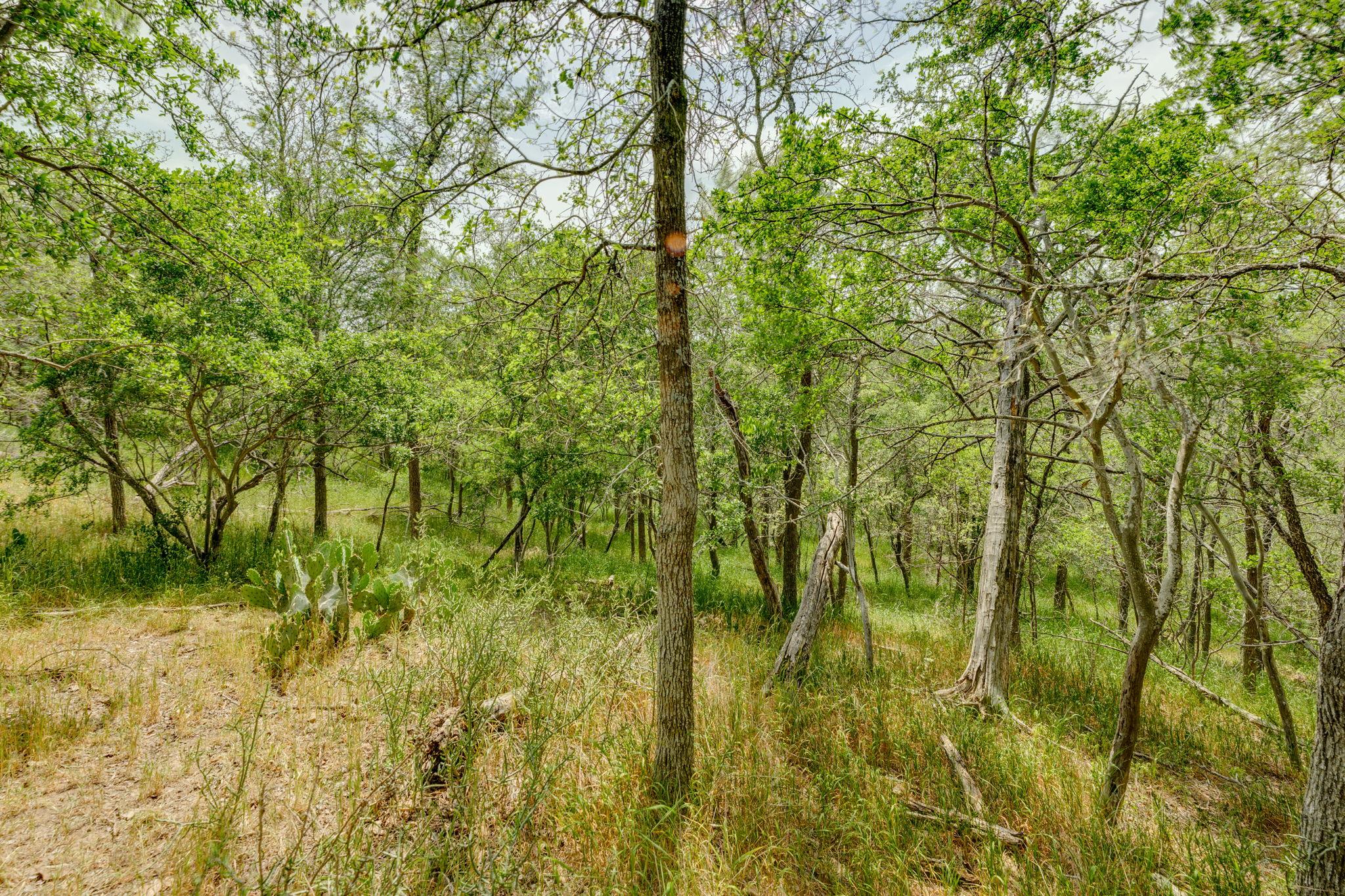 111 Hauula Ct, Bastrop, TX 78602