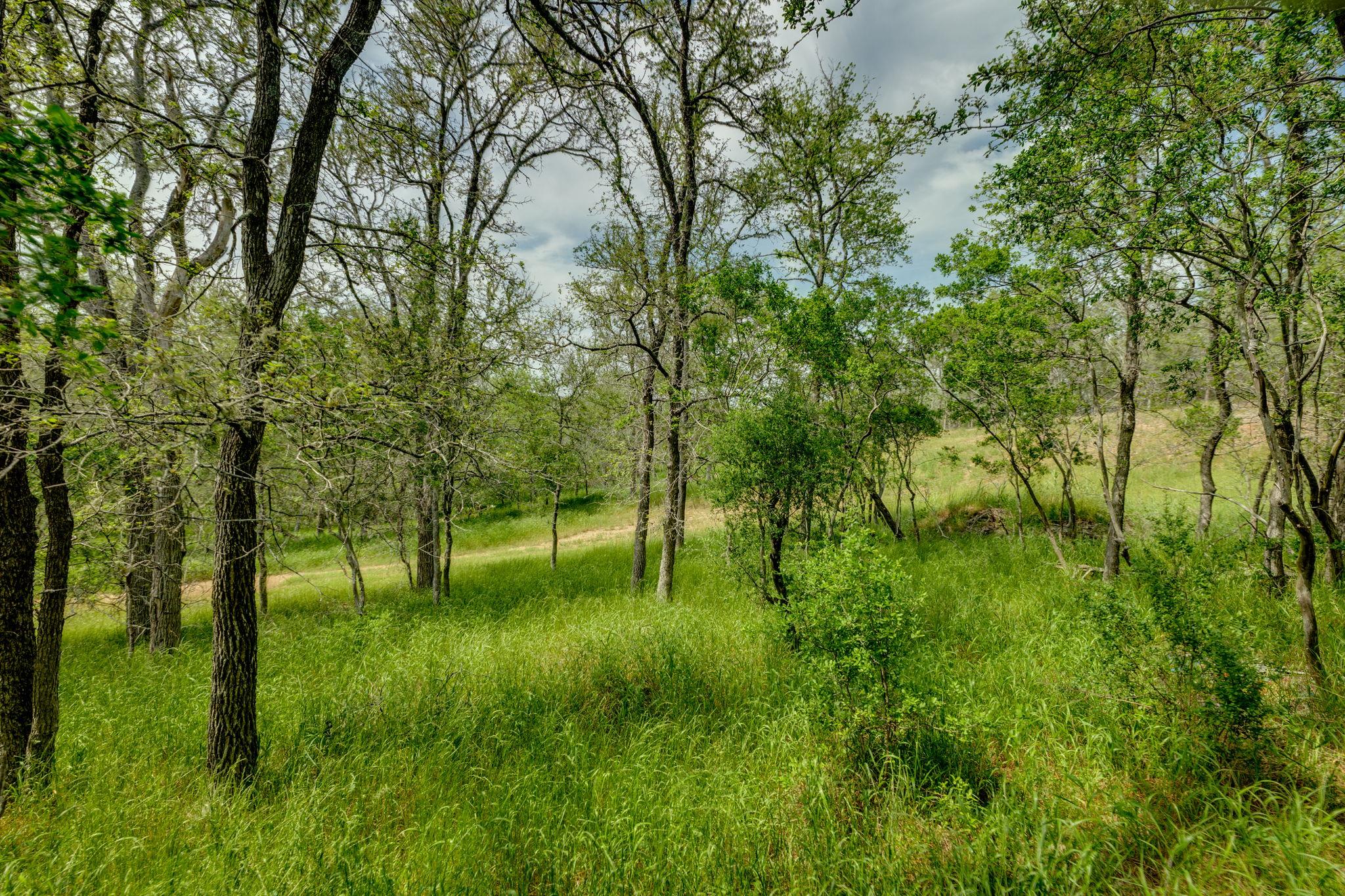 111 Hauula Ct, Bastrop, TX 78602