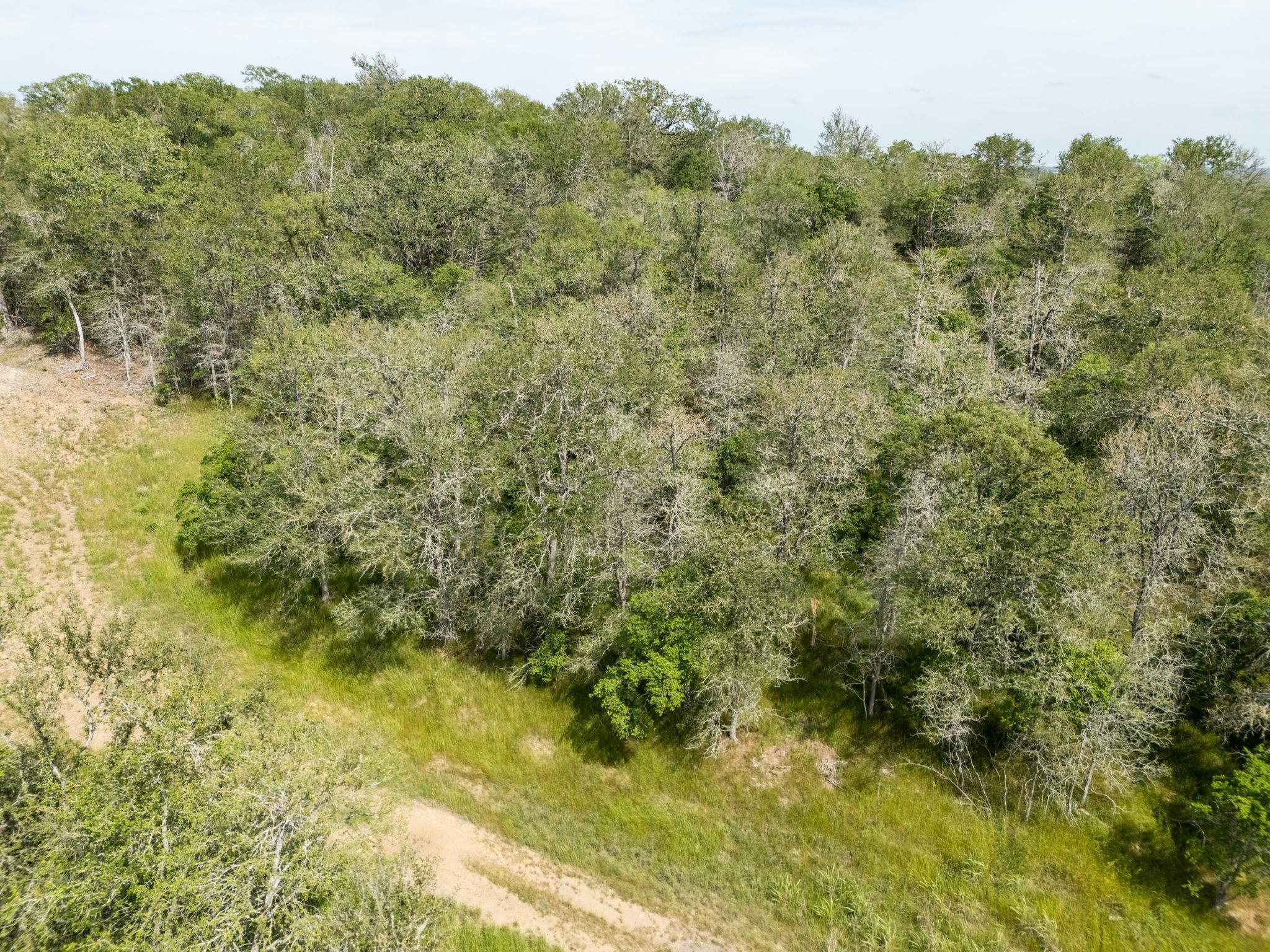 111 Hauula Ct, Bastrop, TX 78602