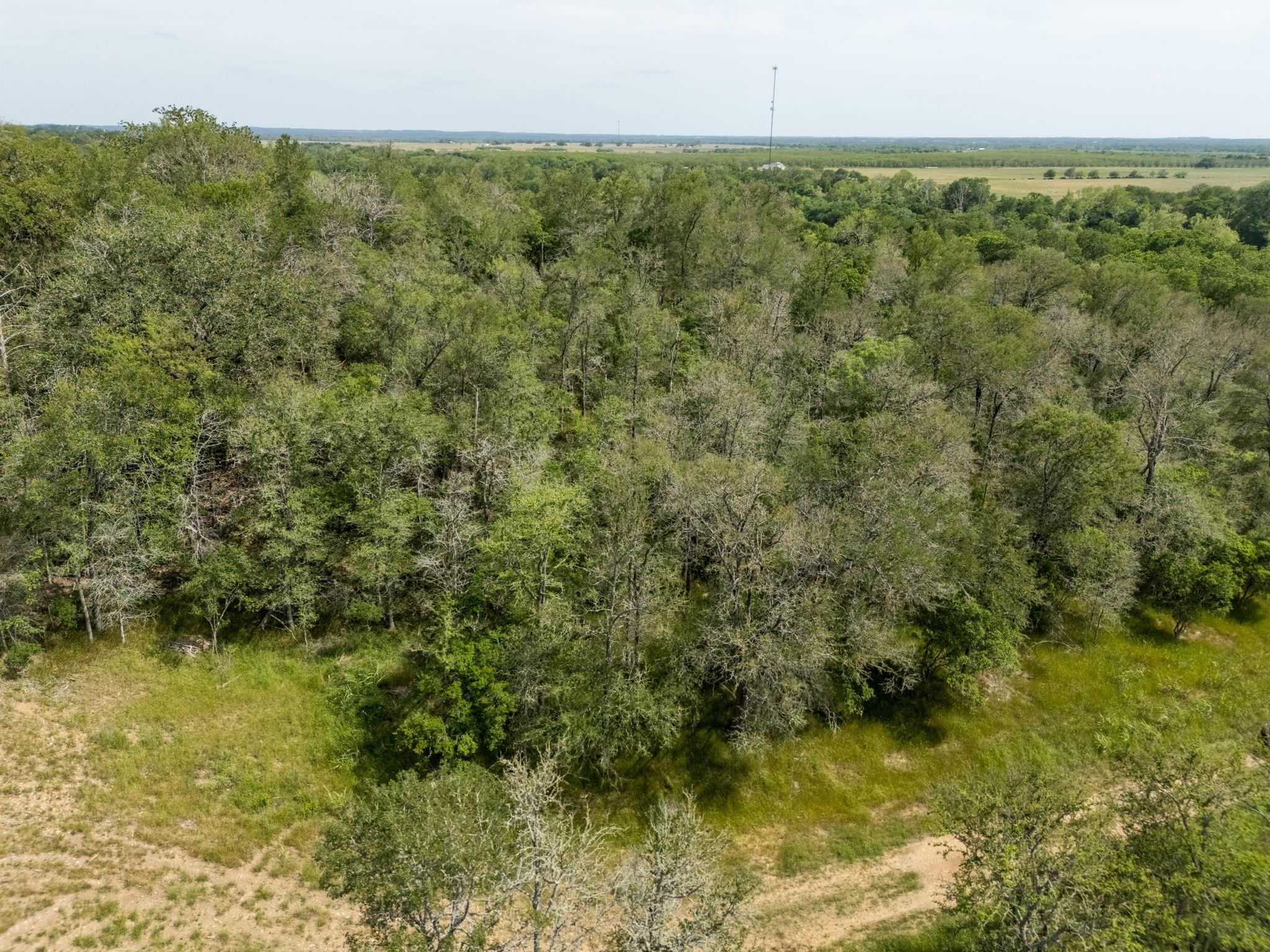 111 Hauula Ct, Bastrop, TX 78602