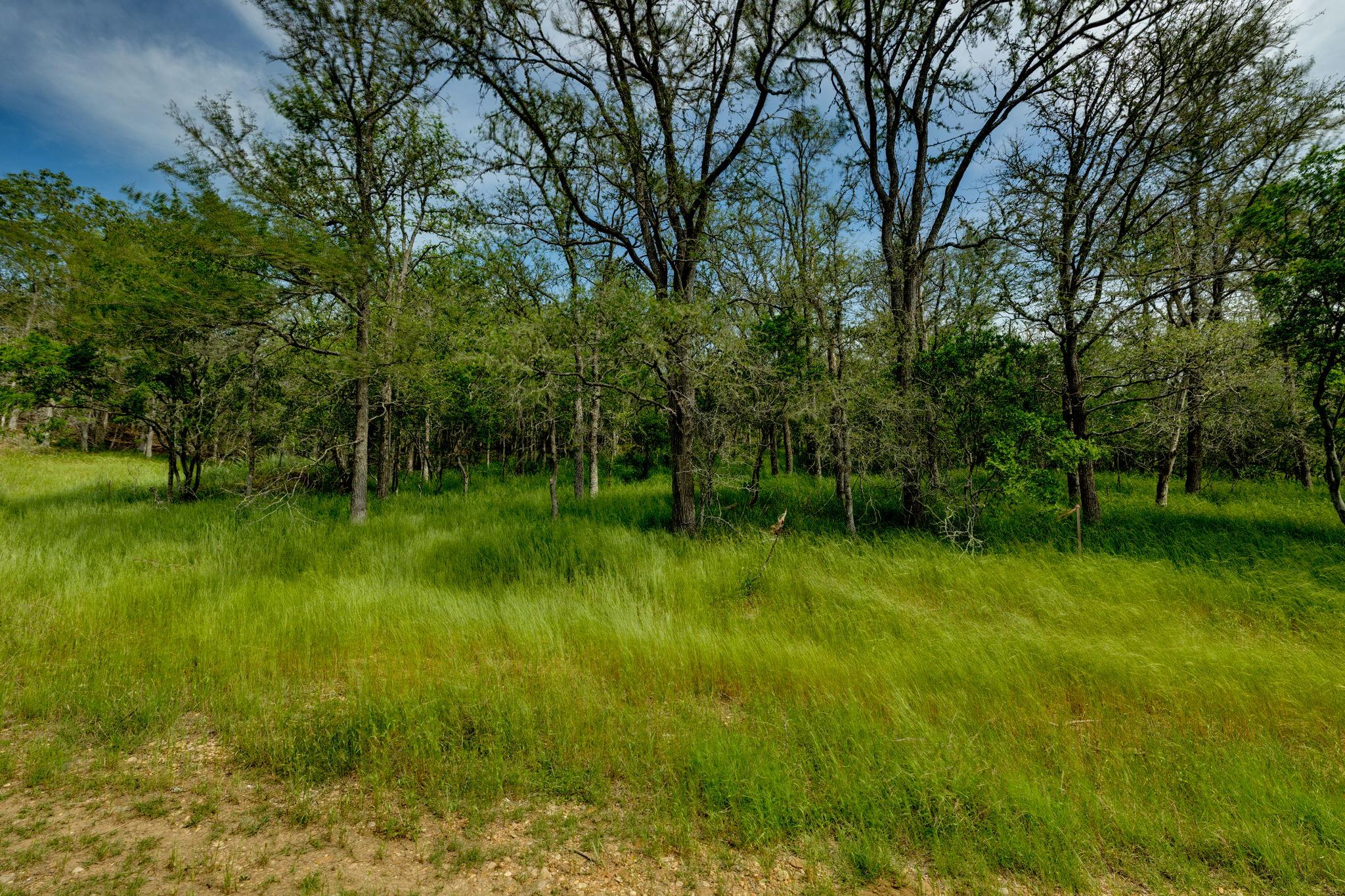 111 Hauula Ct, Bastrop, TX 78602