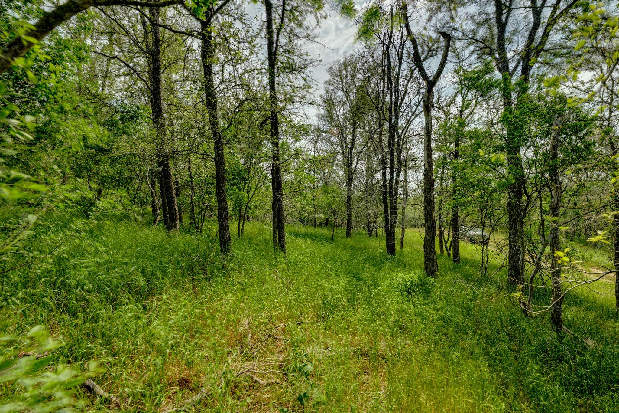 111 Hauula Ct, Bastrop, TX 78602