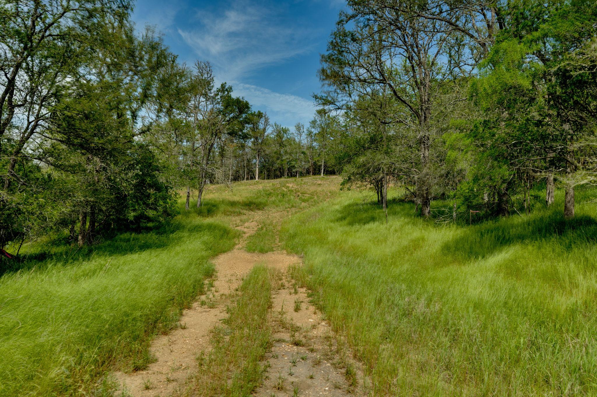 111 Hauula Ct, Bastrop, TX 78602