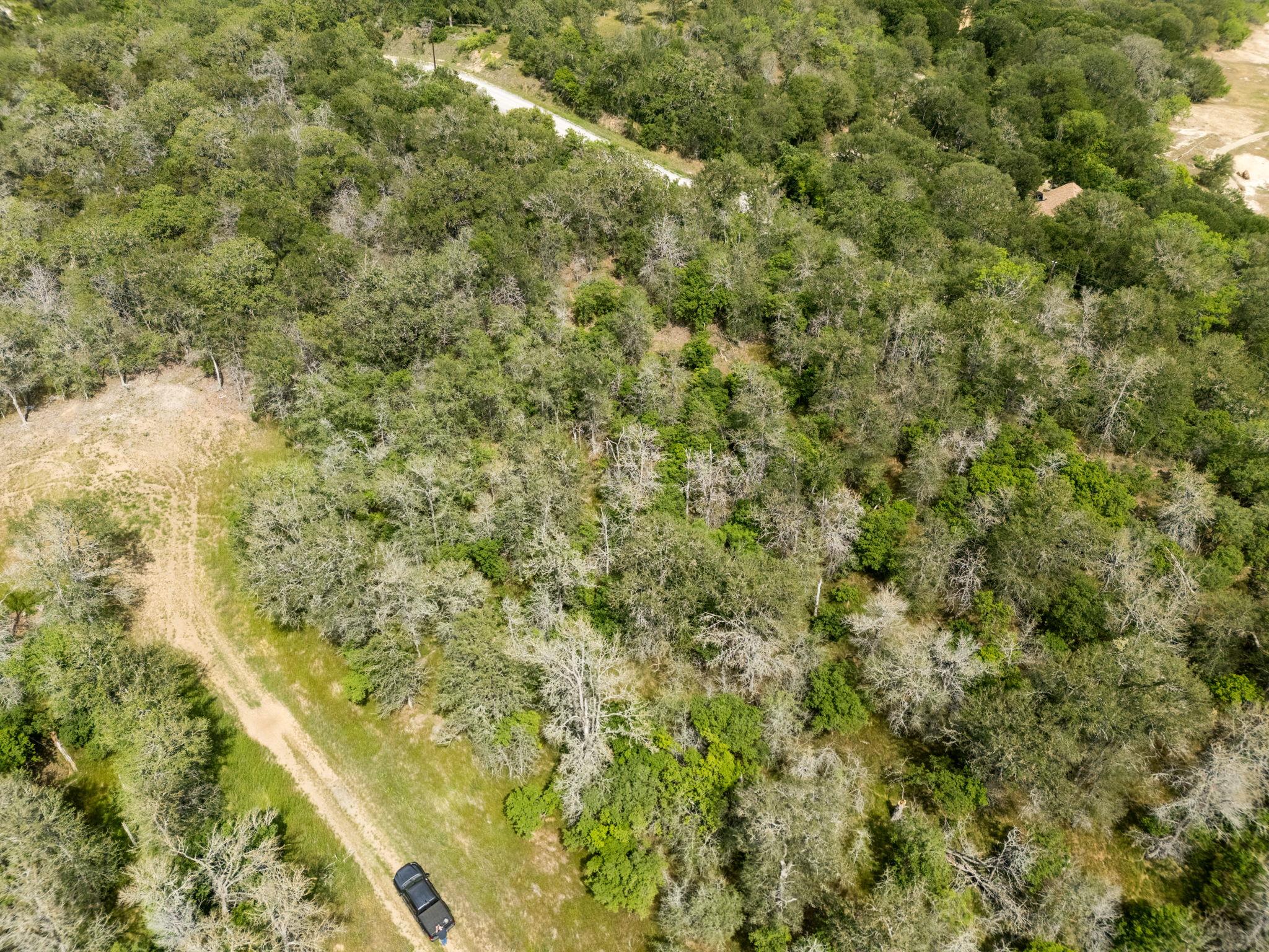 111 Hauula Ct, Bastrop, TX 78602