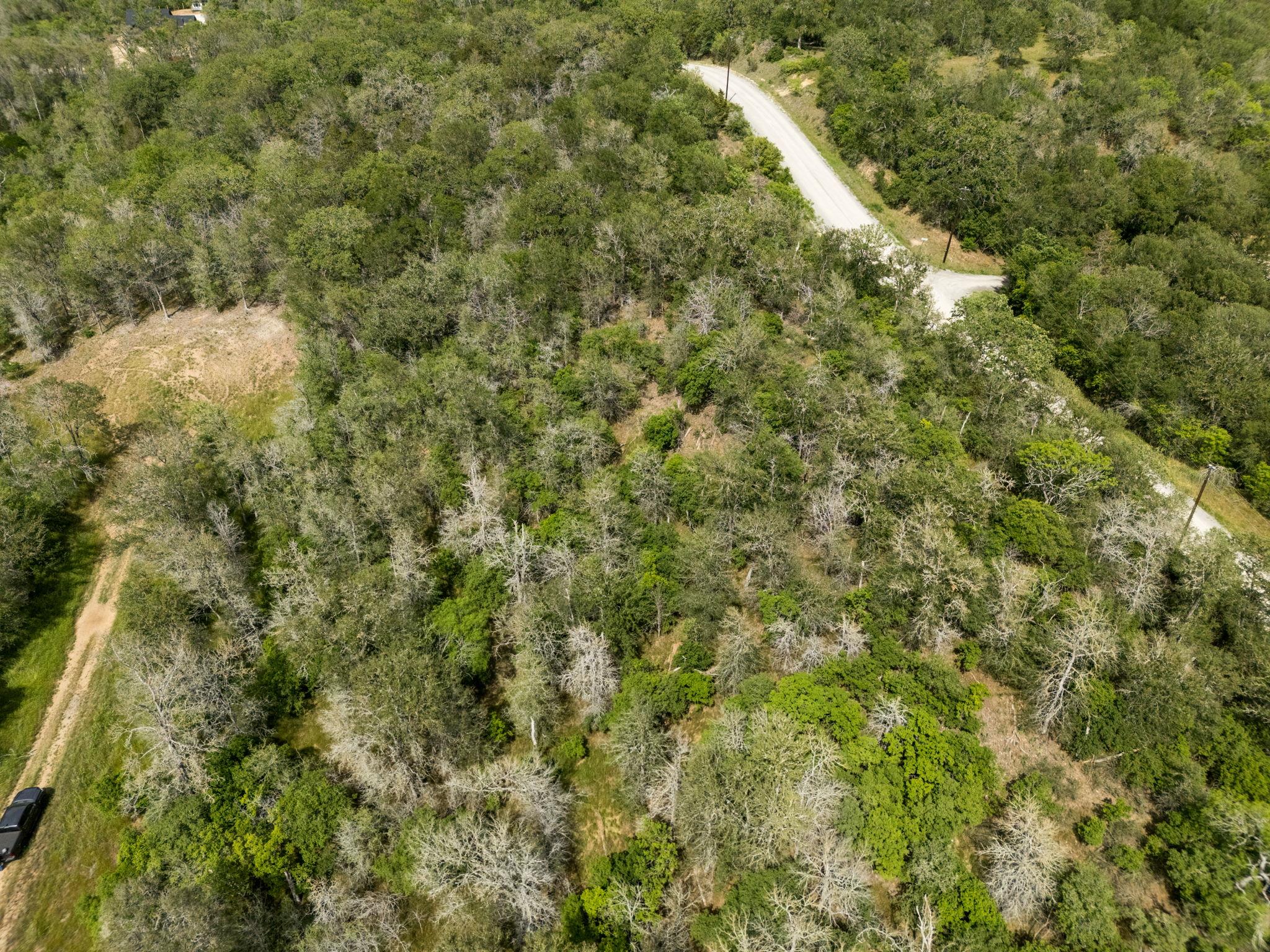 111 Hauula Ct, Bastrop, TX 78602