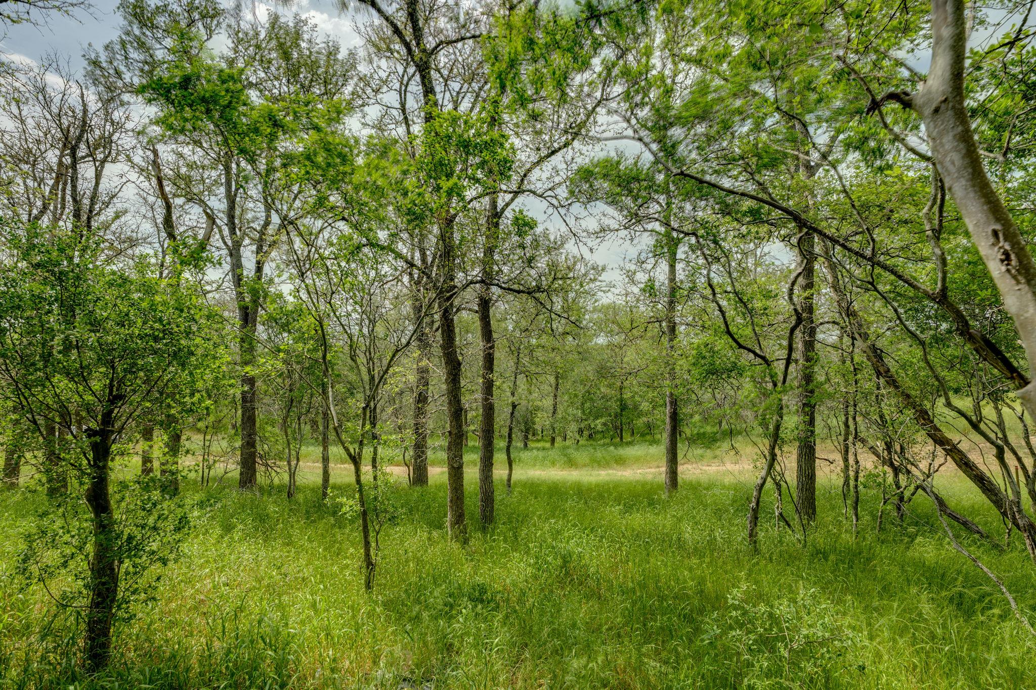 111 Hauula Ct, Bastrop, TX 78602