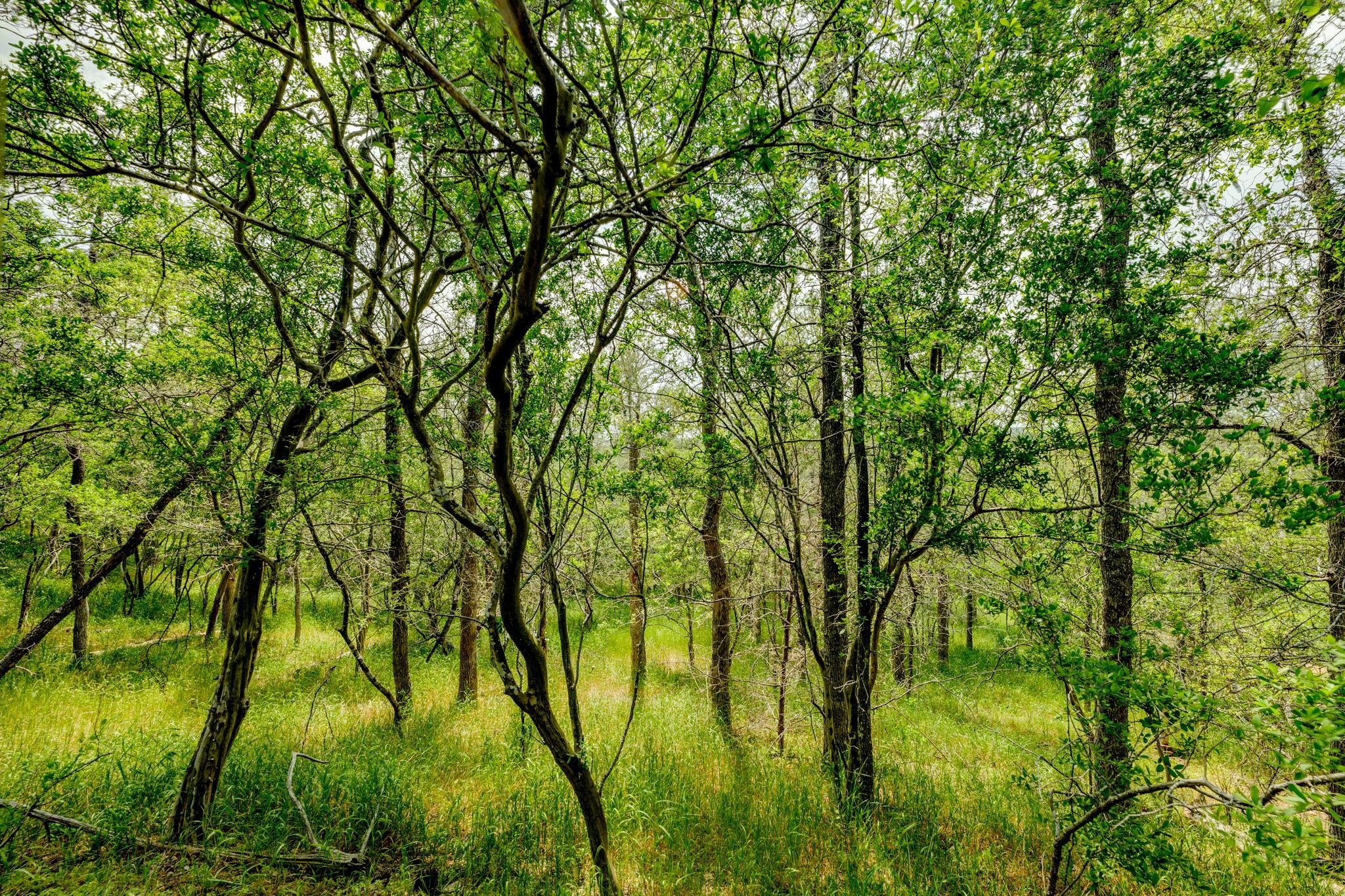 111 Hauula Ct, Bastrop, TX 78602