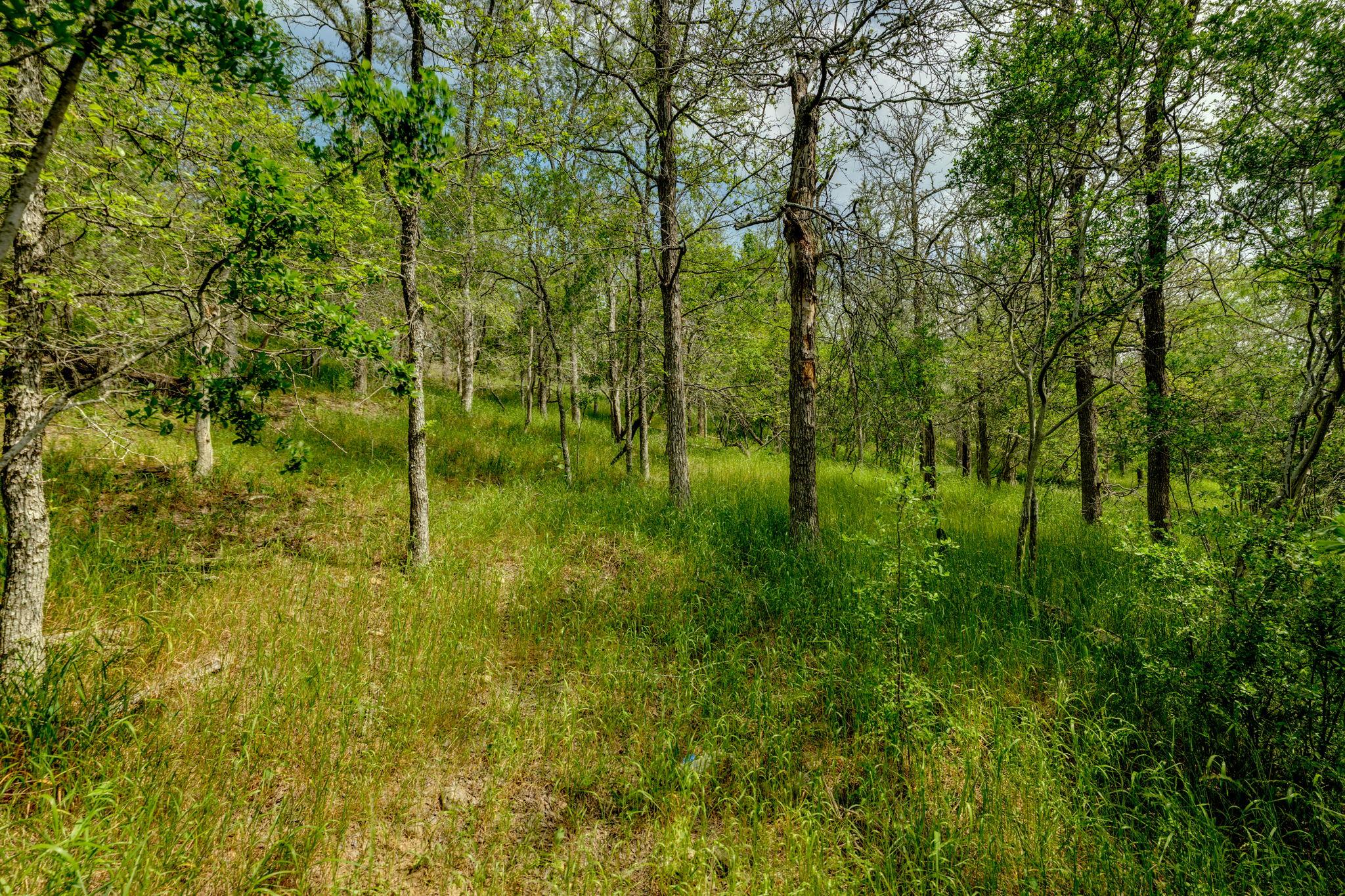 111 Hauula Ct, Bastrop, TX 78602