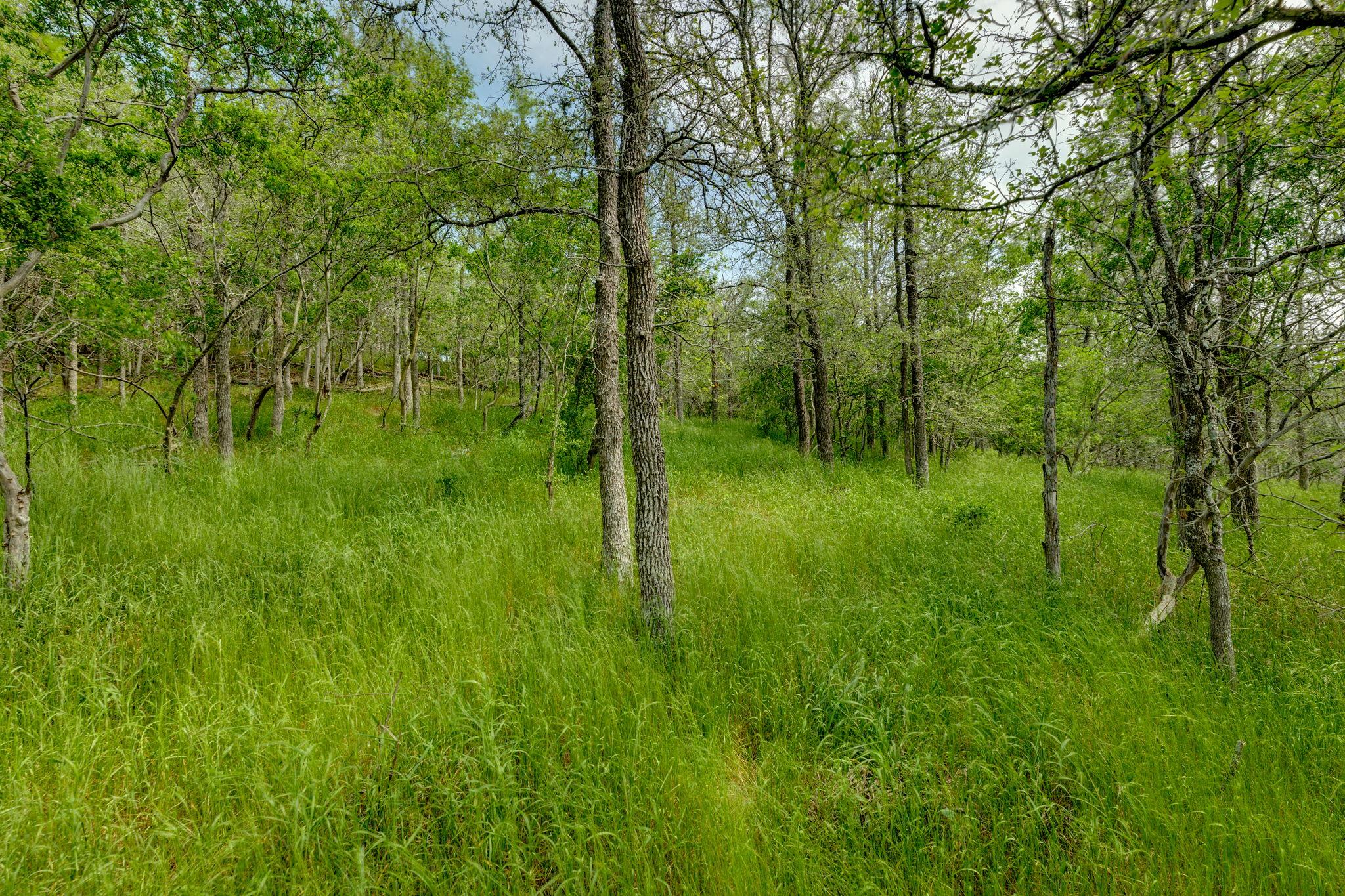 111 Hauula Ct, Bastrop, TX 78602