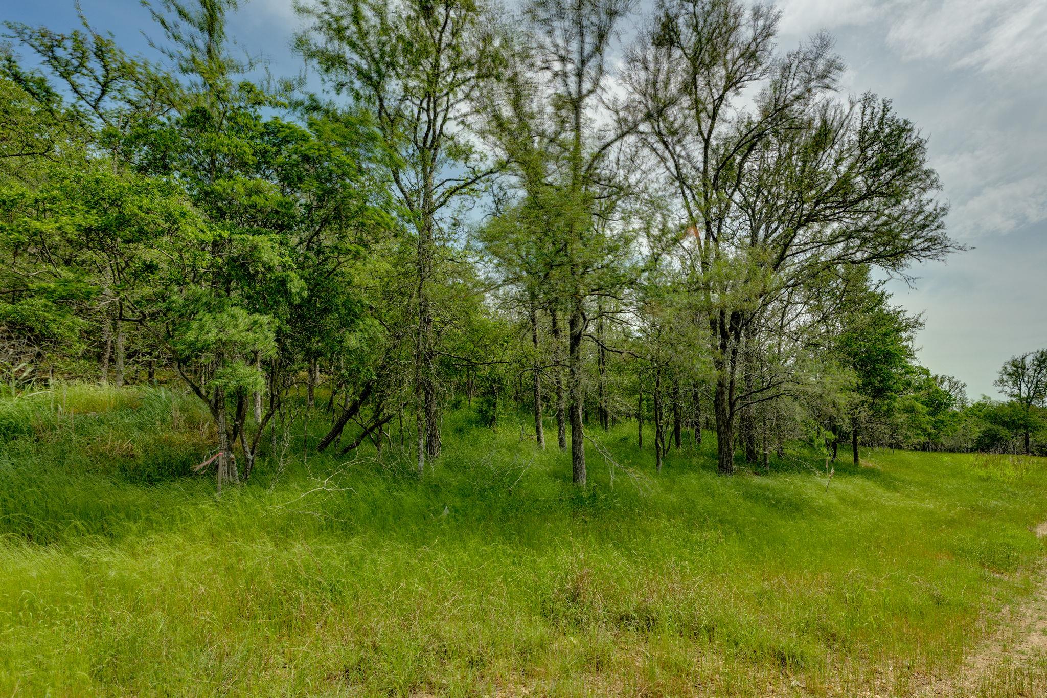 111 Hauula Ct, Bastrop, TX 78602