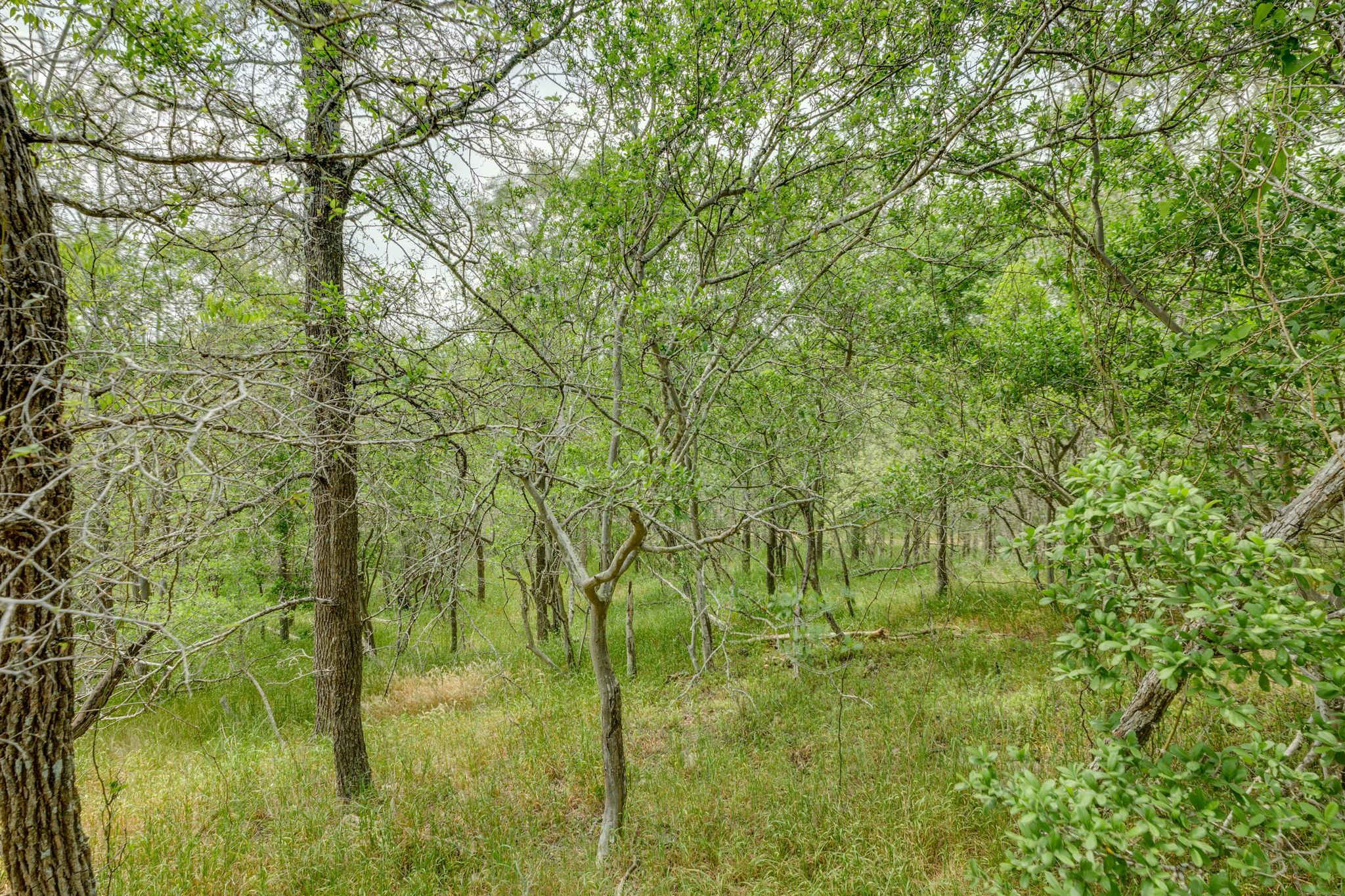 111 Hauula Ct, Bastrop, TX 78602