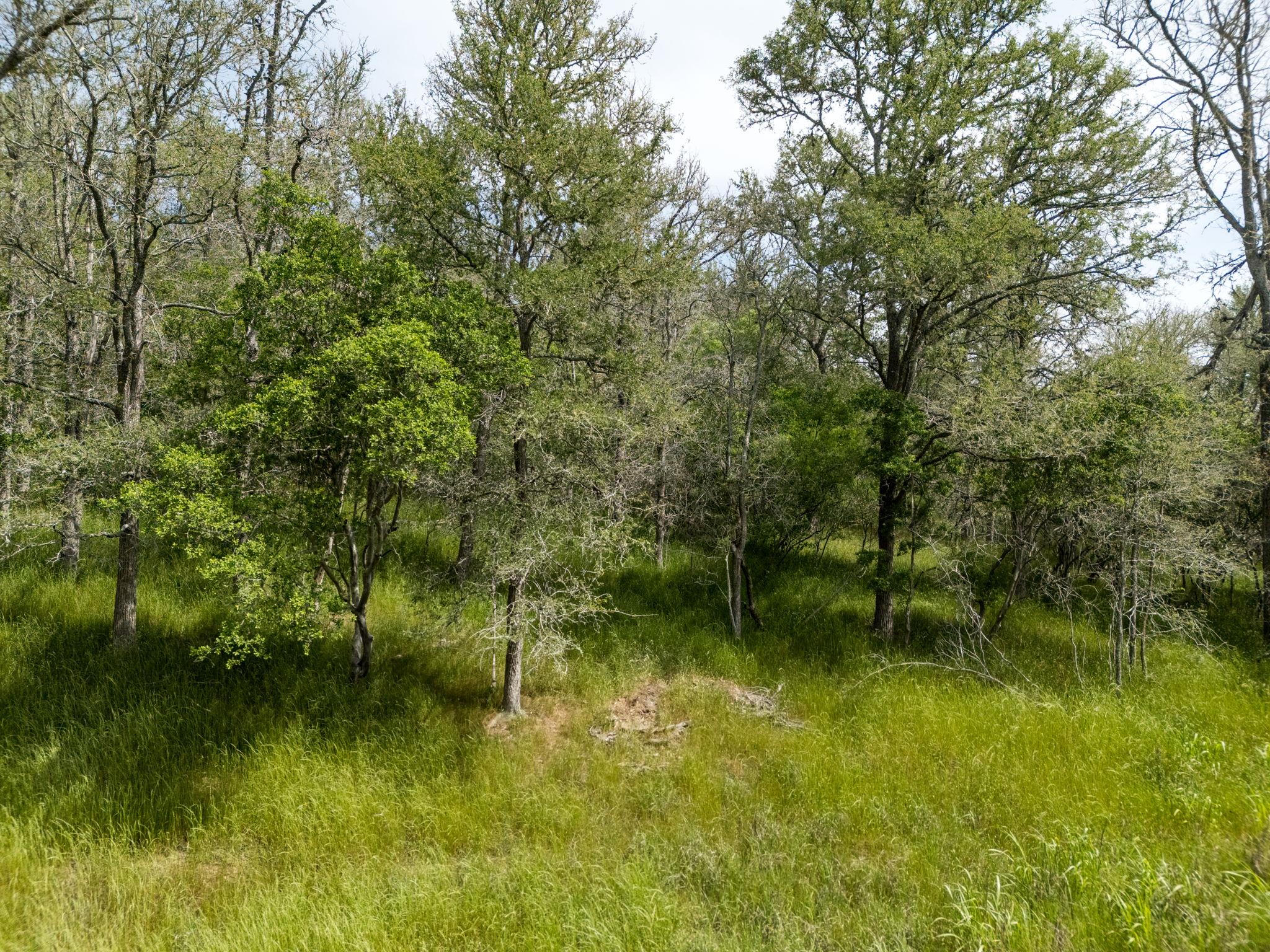 111 Hauula Ct, Bastrop, TX 78602