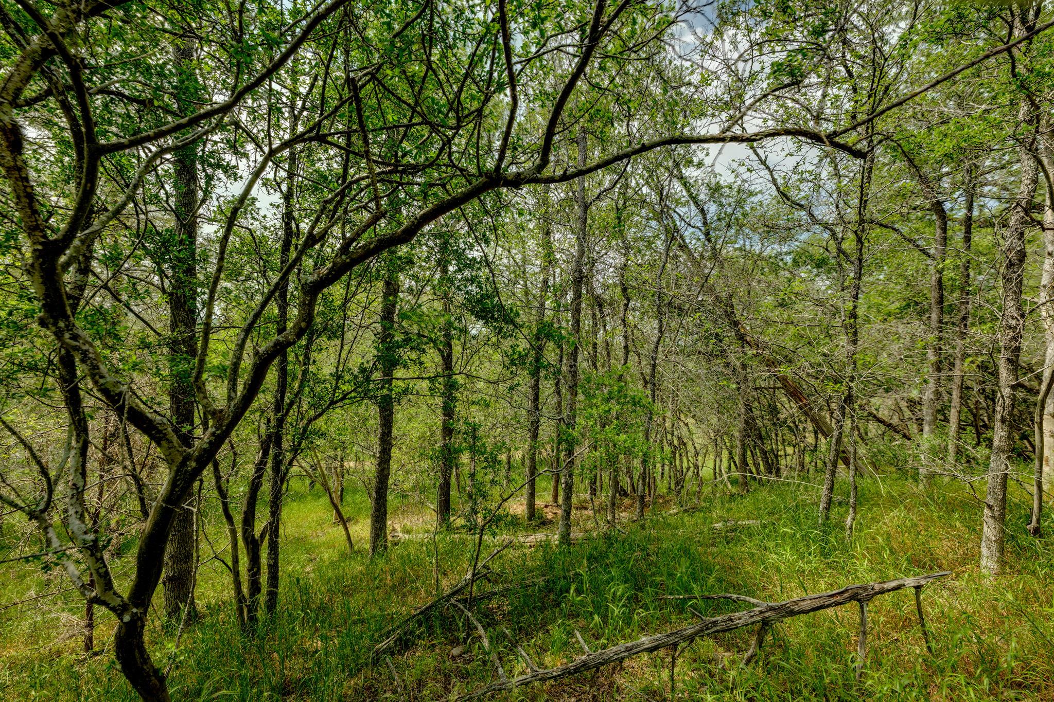 111 Hauula Ct, Bastrop, TX 78602