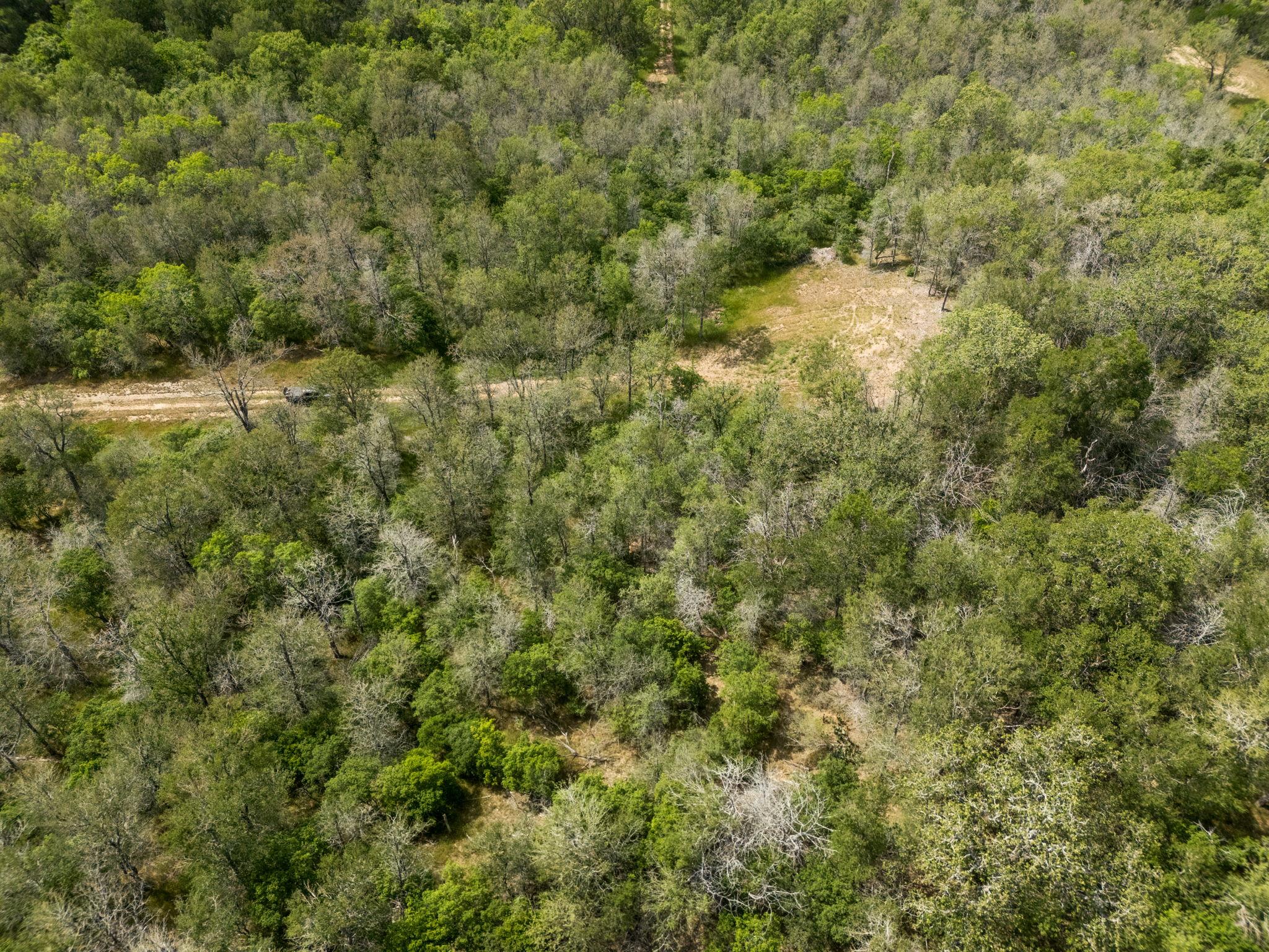 111 Hauula Ct, Bastrop, TX 78602