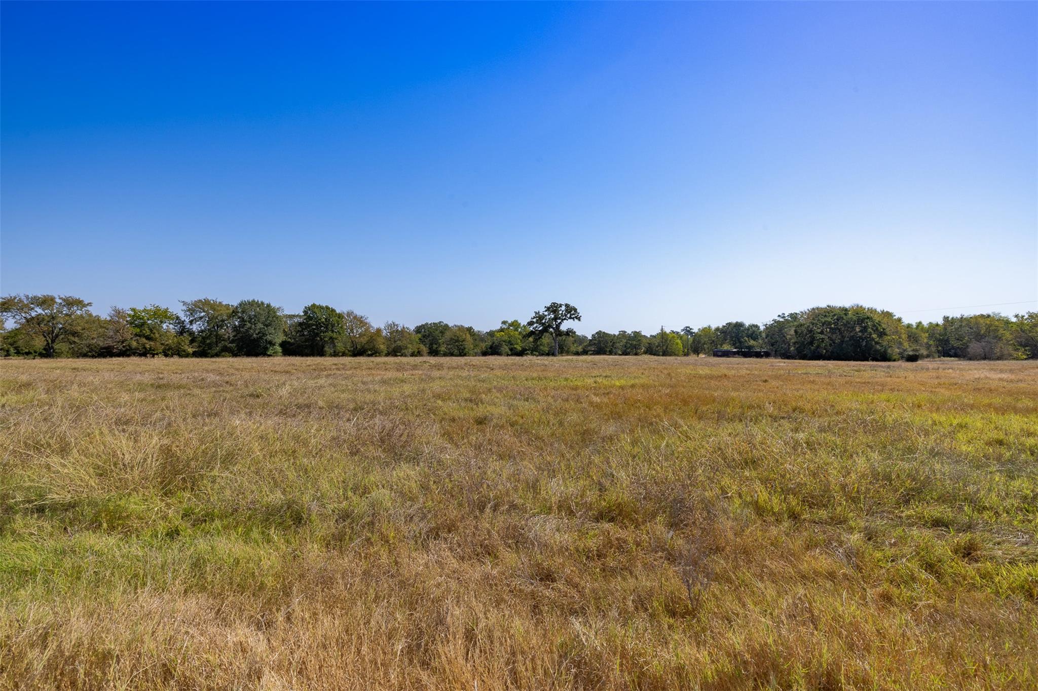 2869 CR 103, Iola, TX 77861