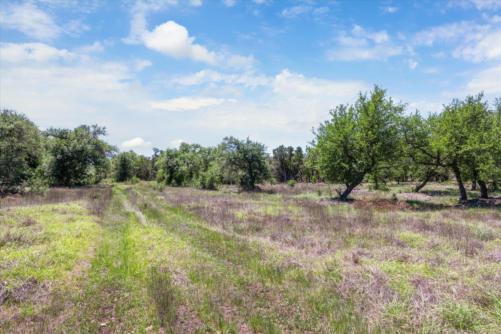 201 Medlin Creek Loop, Dripping Springs, TX 78620