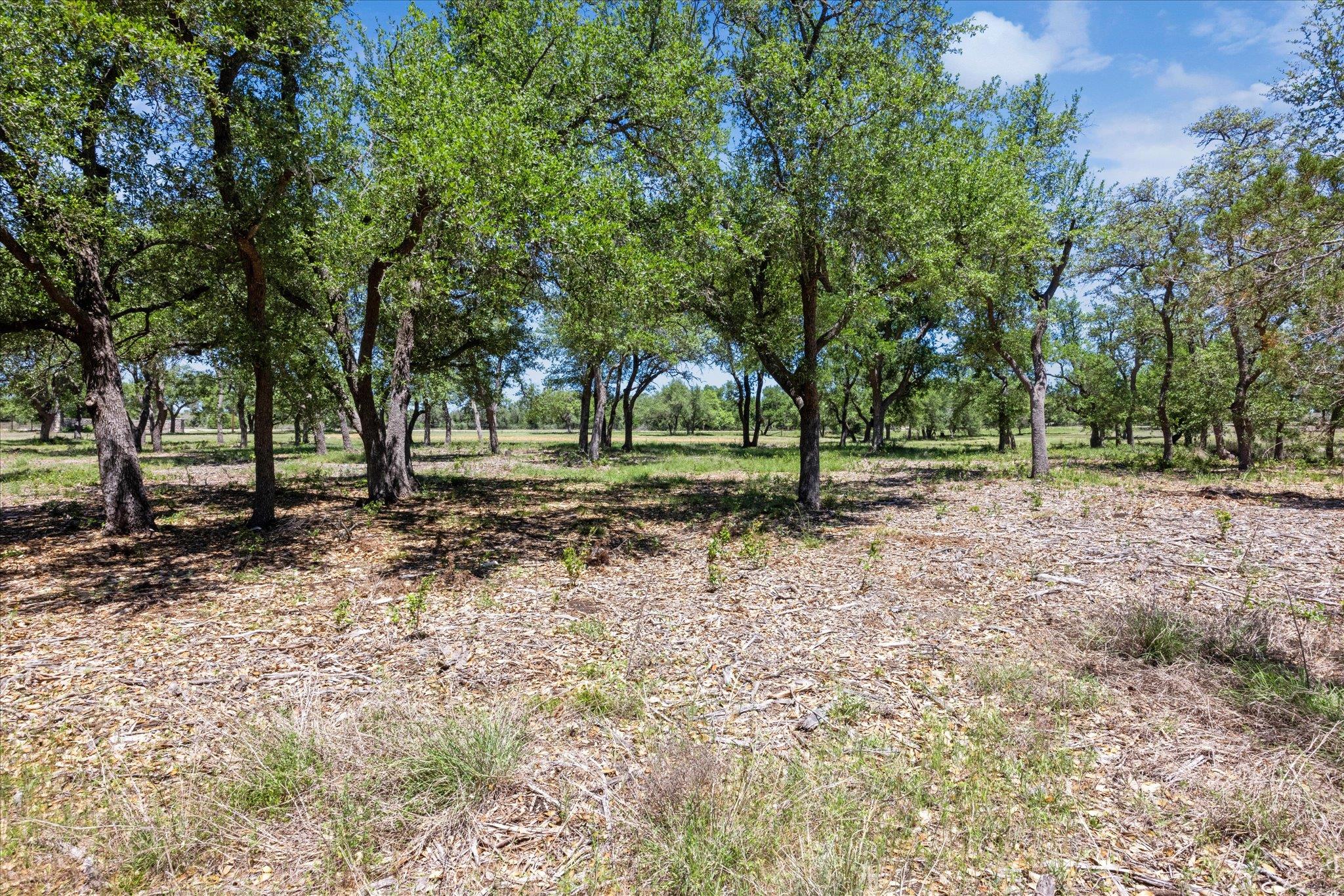 201 Medlin Creek Loop, Dripping Springs, TX 78620