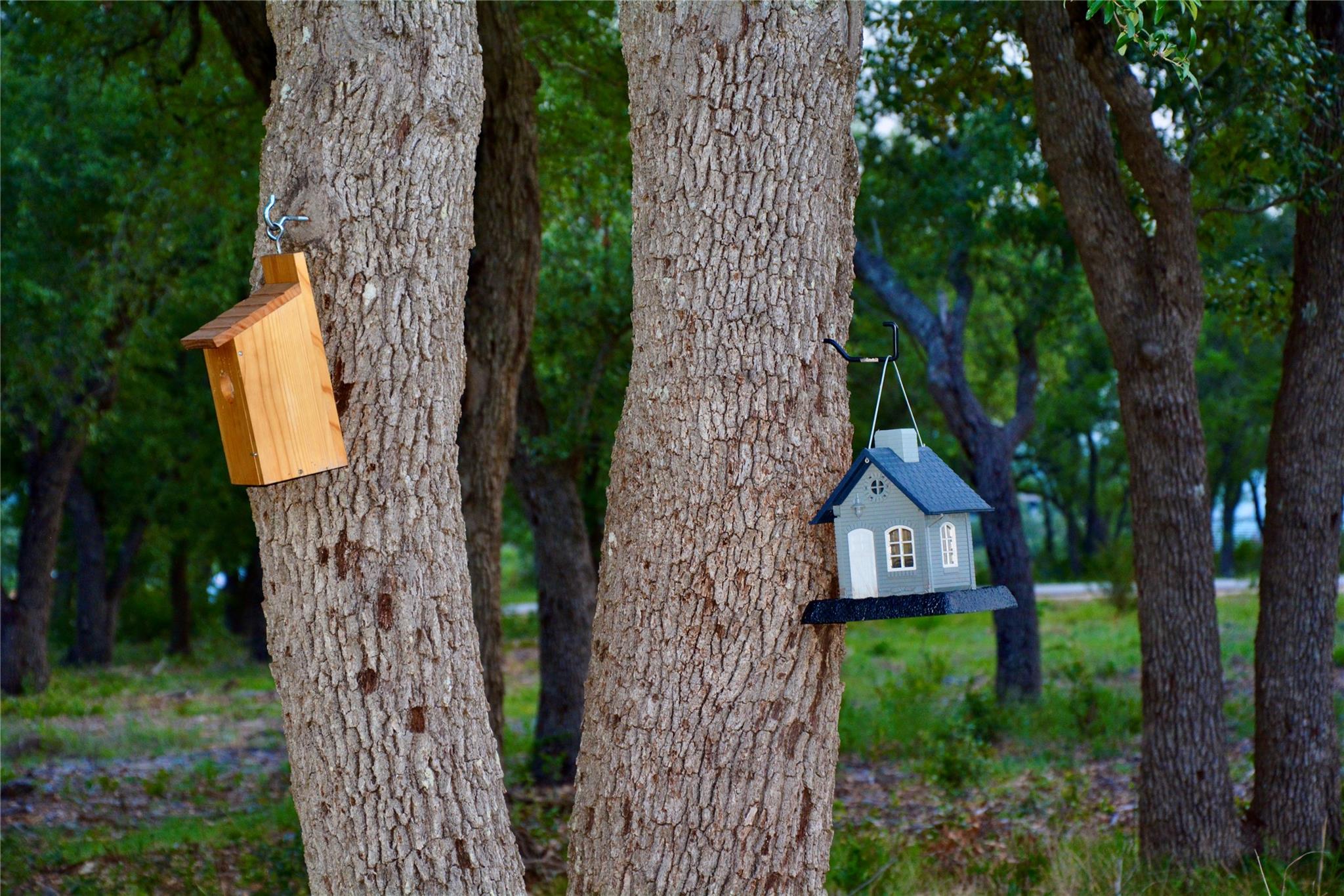 201 Medlin Creek Loop, Dripping Springs, TX 78620