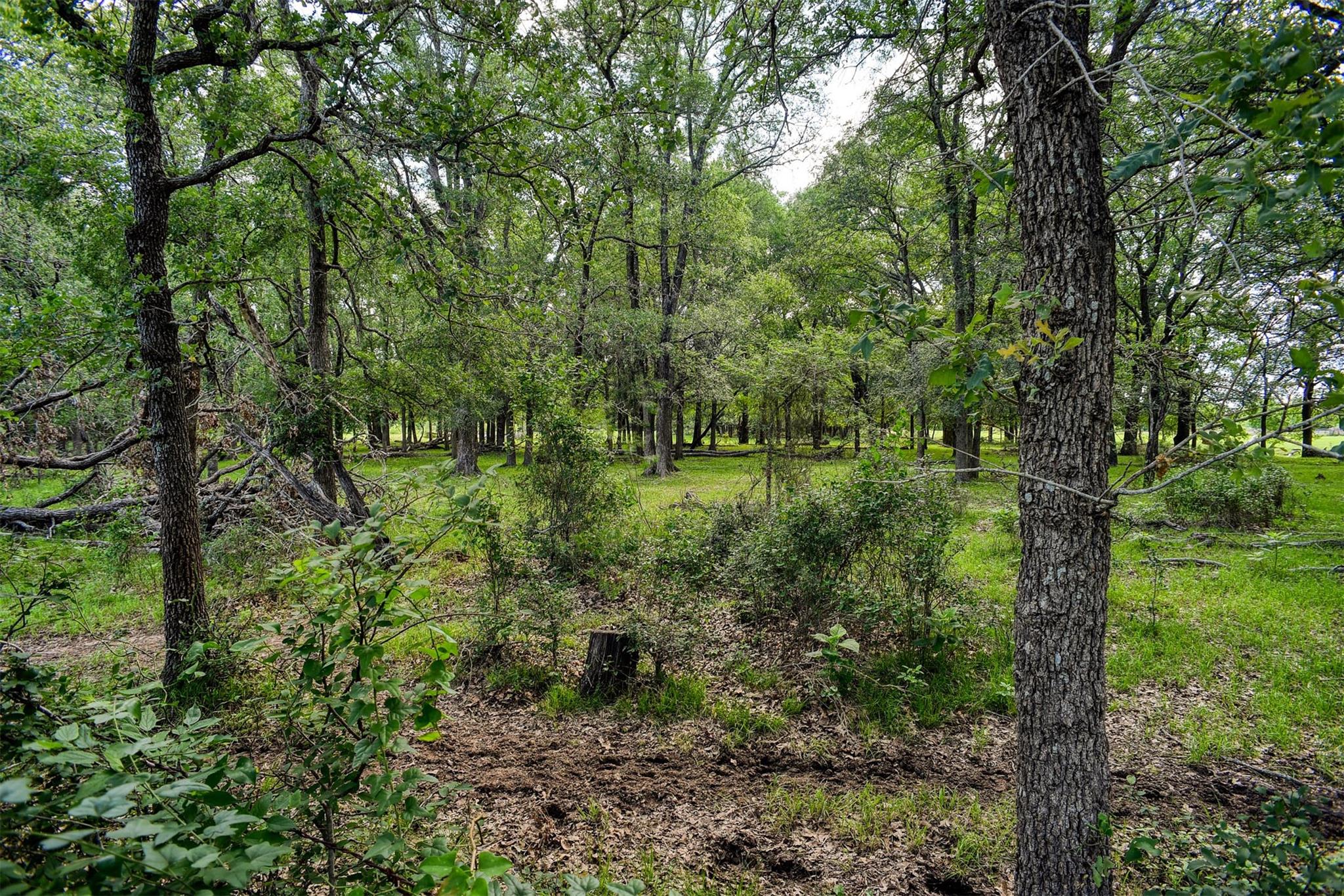 1674 Old McDade Rd # A, Elgin, TX 78621