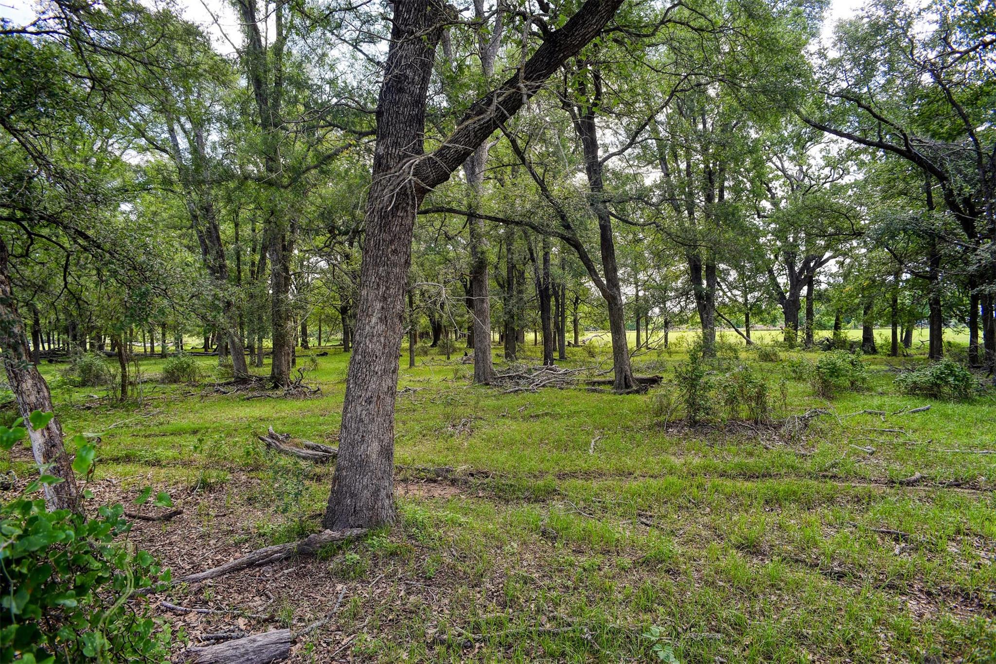 1674 Old McDade Rd # A, Elgin, TX 78621